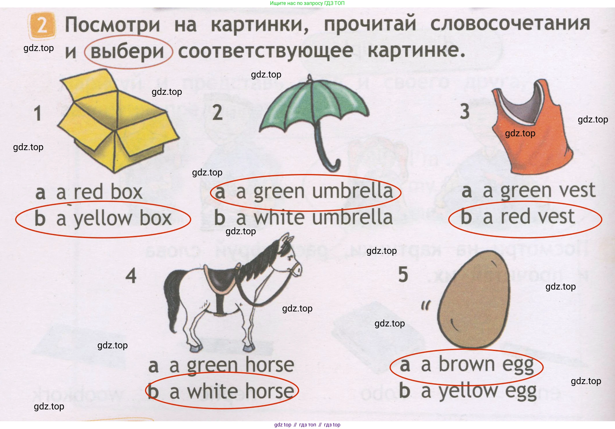 Английский язык (english), 2 класс Рабочая тетрадь (workbook), авторы: Быкова Надежда Ильинична (Bykova Nadezhda), Дули Дженни (Dooley Jenny), Поспелова Марина Давидовна (Pospelova Marina), Эванс Вирджиния (Evans Virginia), издательство Просвещение, Москва, 2023, розового цвета, страница 12, номер 2, Решение 3