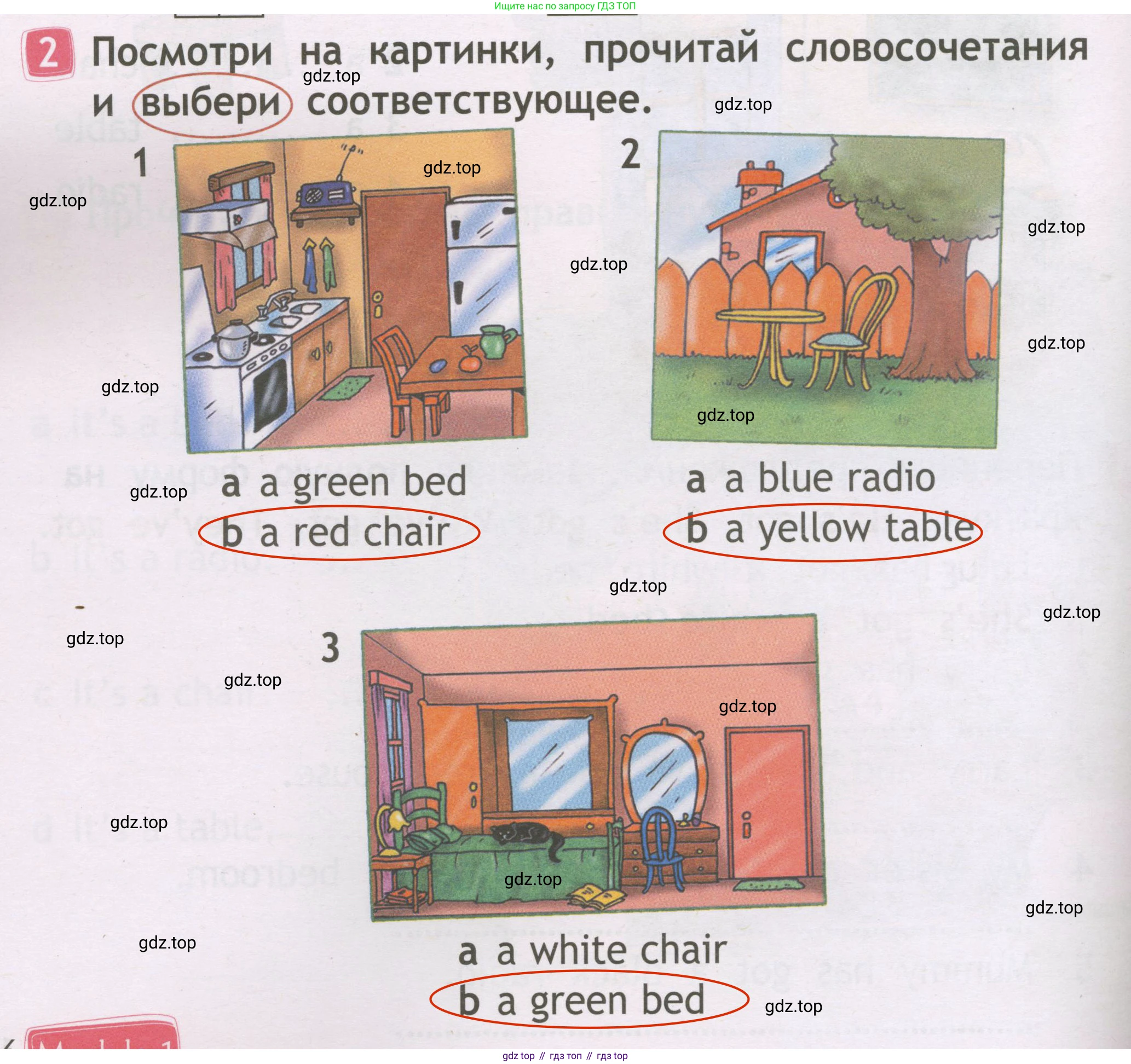 Английский язык (english), 2 класс Рабочая тетрадь (workbook), авторы: Быкова Надежда Ильинична (Bykova Nadezhda), Дули Дженни (Dooley Jenny), Поспелова Марина Давидовна (Pospelova Marina), Эванс Вирджиния (Evans Virginia), издательство Просвещение, Москва, 2023, розового цвета, страница 16, номер 2, Решение 3