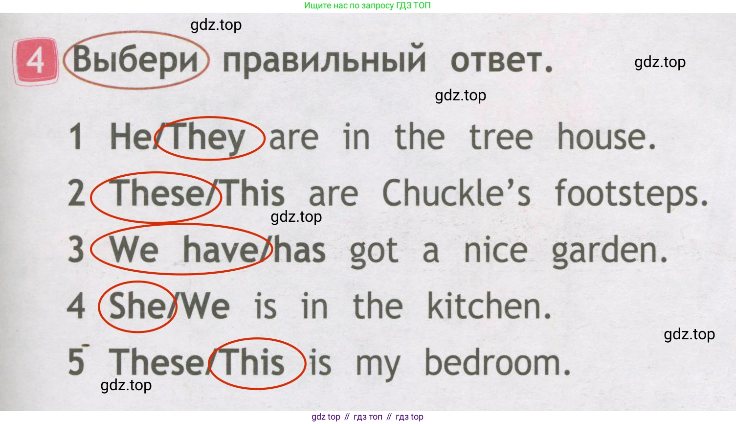 Английский язык (english), 2 класс Рабочая тетрадь (workbook), авторы: Быкова Надежда Ильинична (Bykova Nadezhda), Дули Дженни (Dooley Jenny), Поспелова Марина Давидовна (Pospelova Marina), Эванс Вирджиния (Evans Virginia), издательство Просвещение, Москва, 2023, розового цвета, страница 21, номер 4, Решение 3