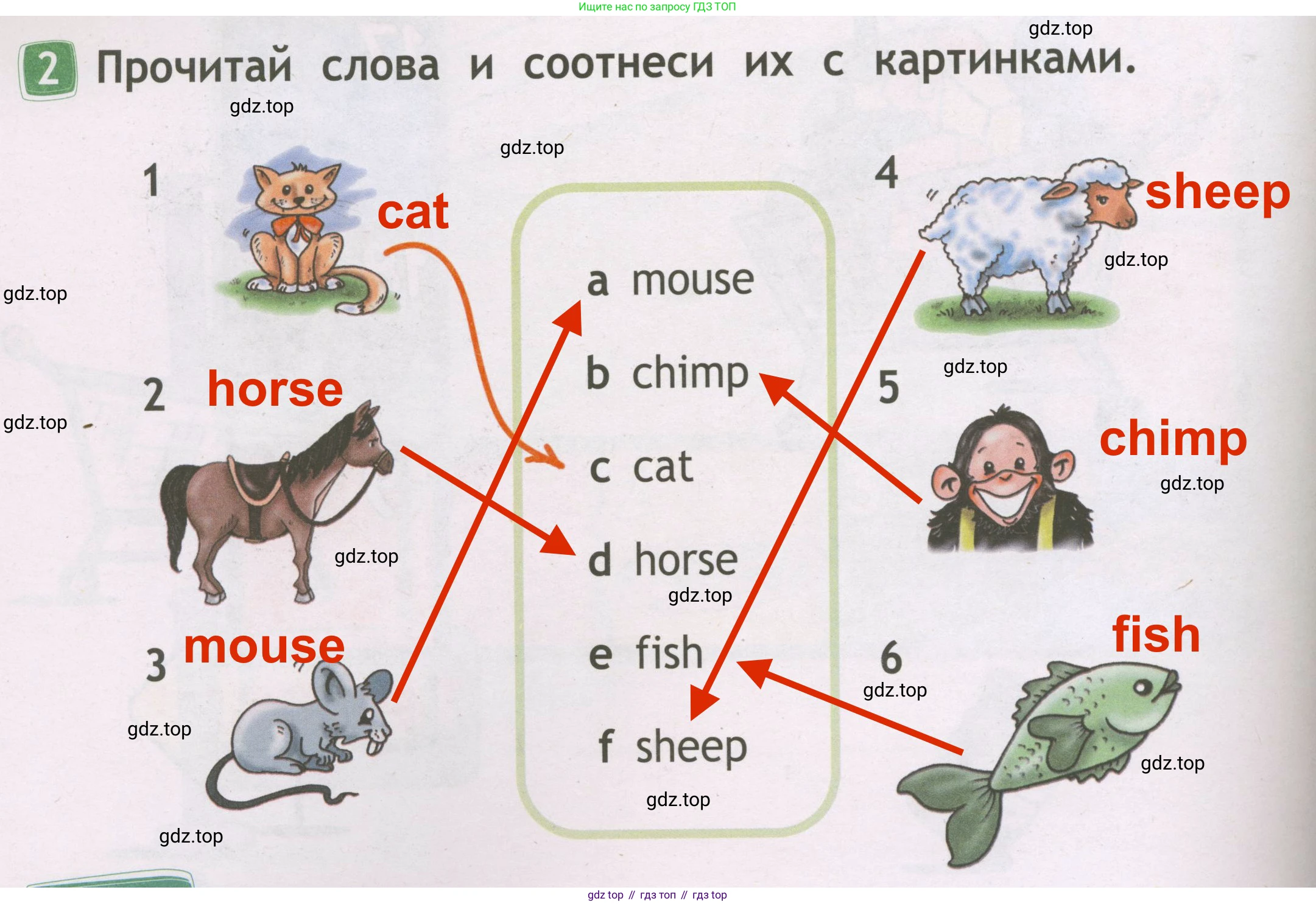 Английский язык (english), 2 класс Рабочая тетрадь (workbook), авторы: Быкова Надежда Ильинична (Bykova Nadezhda), Дули Дженни (Dooley Jenny), Поспелова Марина Давидовна (Pospelova Marina), Эванс Вирджиния (Evans Virginia), издательство Просвещение, Москва, 2023, розового цвета, страница 34, номер 2, Решение 3
