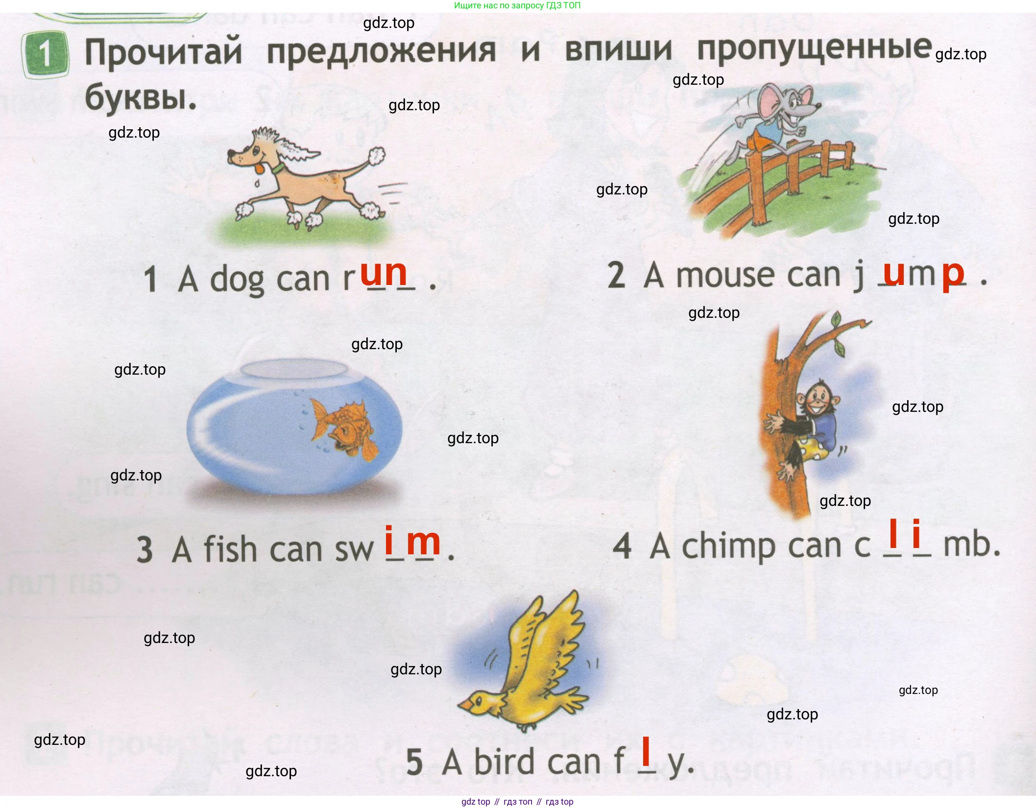 Английский язык (english), 2 класс Рабочая тетрадь (workbook), авторы: Быкова Надежда Ильинична (Bykova Nadezhda), Дули Дженни (Dooley Jenny), Поспелова Марина Давидовна (Pospelova Marina), Эванс Вирджиния (Evans Virginia), издательство Просвещение, Москва, 2023, розового цвета, страница 36, номер 1, Решение 3