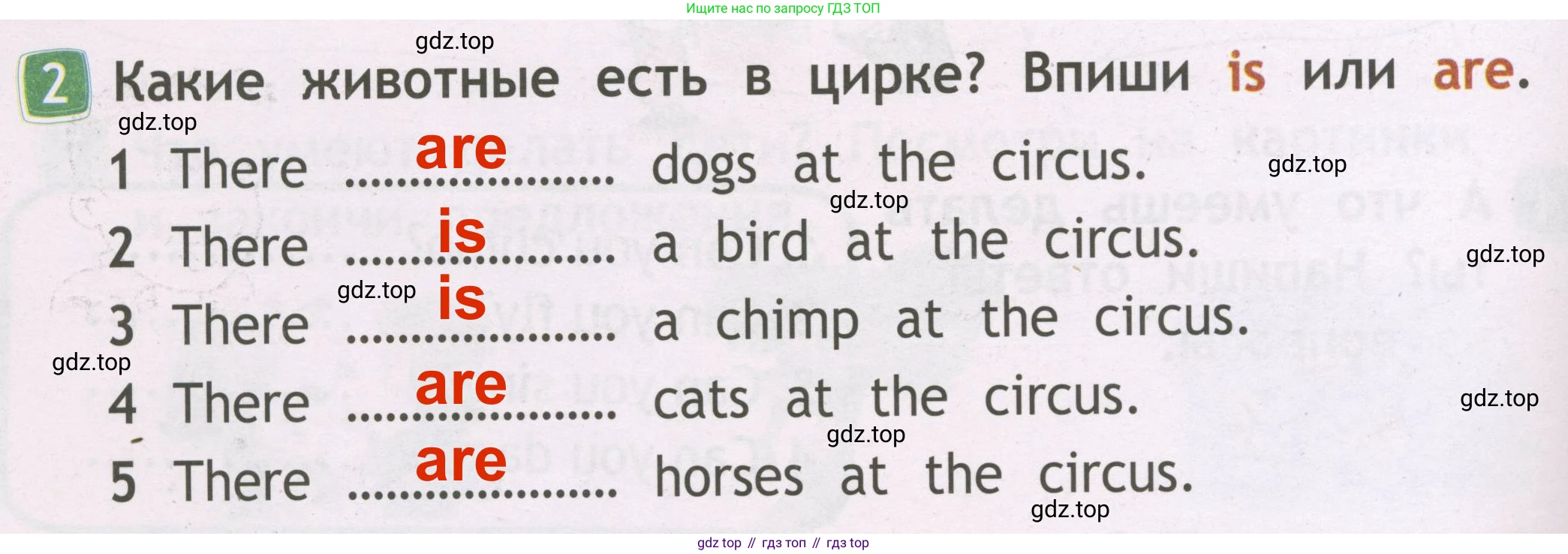 Английский язык (english), 2 класс Рабочая тетрадь (workbook), авторы: Быкова Надежда Ильинична (Bykova Nadezhda), Дули Дженни (Dooley Jenny), Поспелова Марина Давидовна (Pospelova Marina), Эванс Вирджиния (Evans Virginia), издательство Просвещение, Москва, 2023, розового цвета, страница 38, номер 2, Решение 3