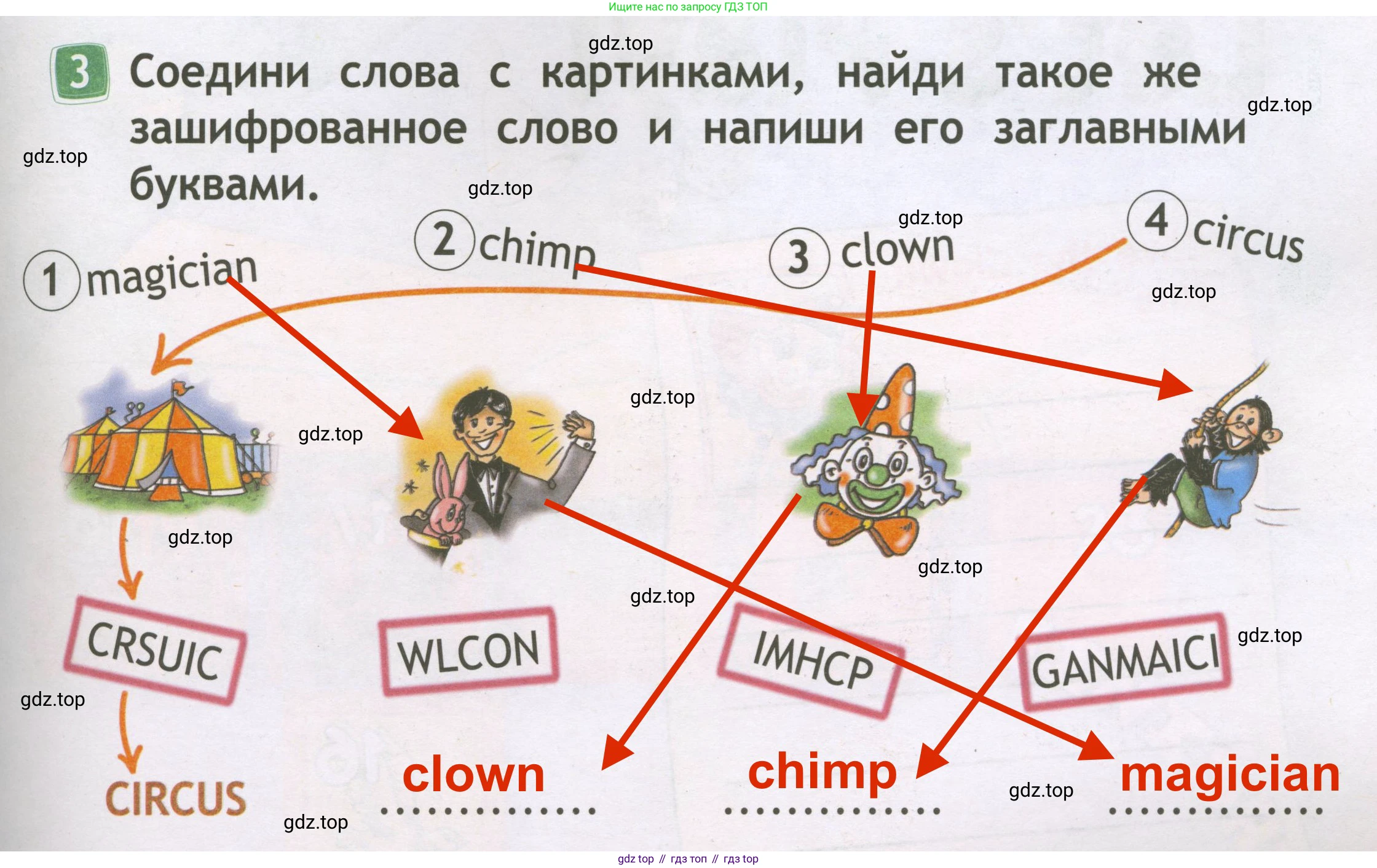 Английский язык (english), 2 класс Рабочая тетрадь (workbook), авторы: Быкова Надежда Ильинична (Bykova Nadezhda), Дули Дженни (Dooley Jenny), Поспелова Марина Давидовна (Pospelova Marina), Эванс Вирджиния (Evans Virginia), издательство Просвещение, Москва, 2023, розового цвета, страница 41, номер 3, Решение 3