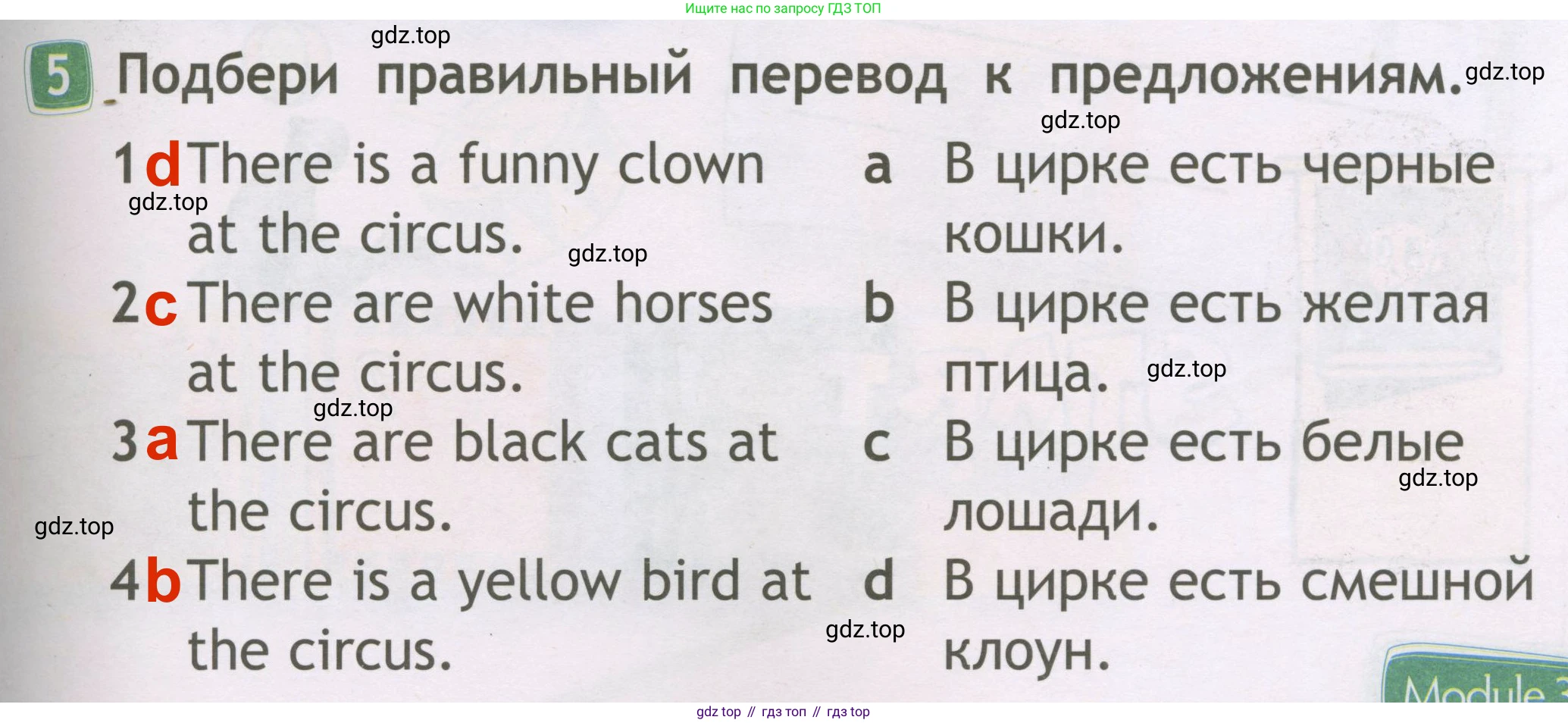 Английский язык (english), 2 класс Рабочая тетрадь (workbook), авторы: Быкова Надежда Ильинична (Bykova Nadezhda), Дули Дженни (Dooley Jenny), Поспелова Марина Давидовна (Pospelova Marina), Эванс Вирджиния (Evans Virginia), издательство Просвещение, Москва, 2023, розового цвета, страница 41, номер 5, Решение 3