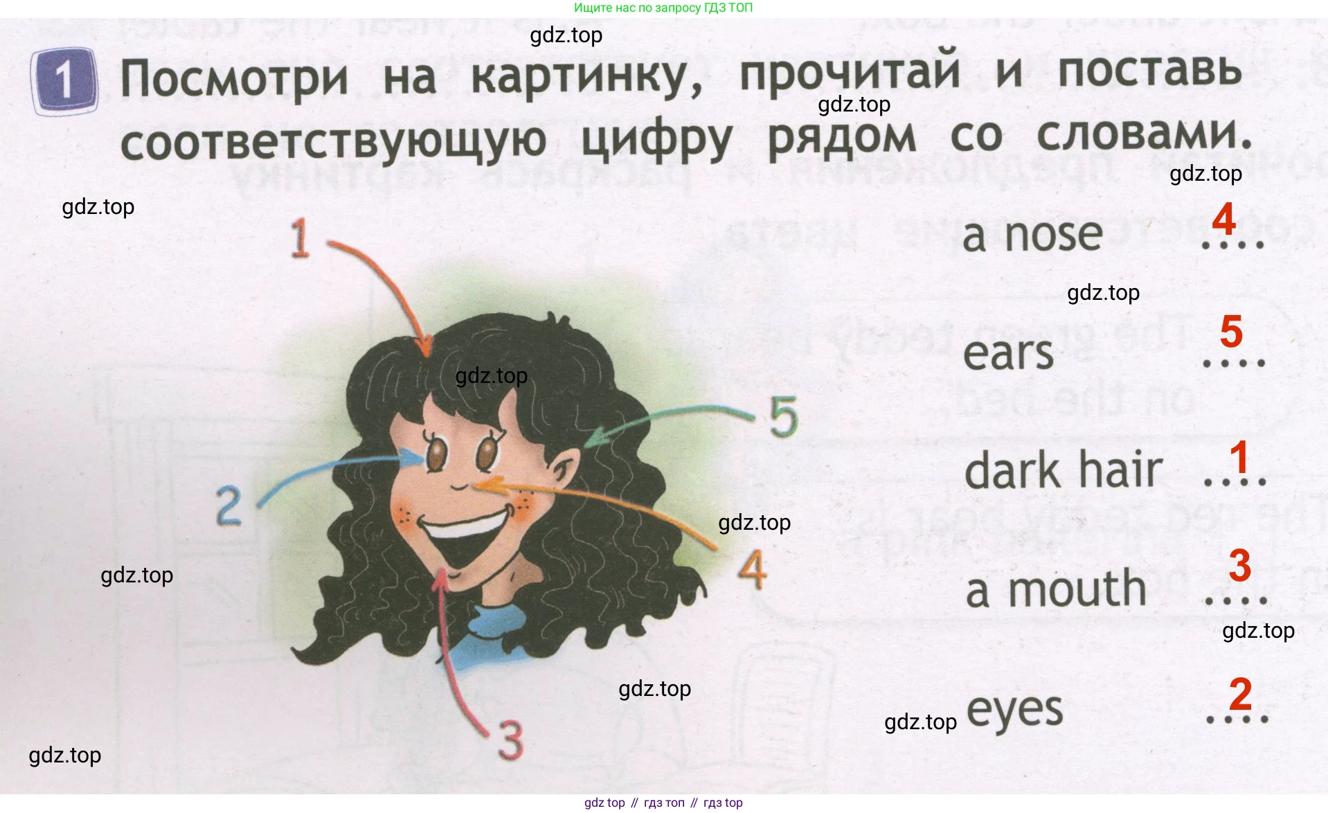 Английский язык (english), 2 класс Рабочая тетрадь (workbook), авторы: Быкова Надежда Ильинична (Bykova Nadezhda), Дули Дженни (Dooley Jenny), Поспелова Марина Давидовна (Pospelova Marina), Эванс Вирджиния (Evans Virginia), издательство Просвещение, Москва, 2023, розового цвета, страница 46, номер 1, Решение 3