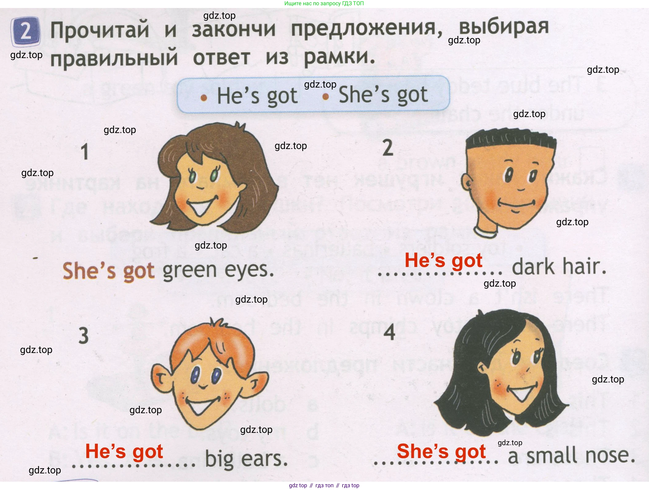 Английский язык (english), 2 класс Рабочая тетрадь (workbook), авторы: Быкова Надежда Ильинична (Bykova Nadezhda), Дули Дженни (Dooley Jenny), Поспелова Марина Давидовна (Pospelova Marina), Эванс Вирджиния (Evans Virginia), издательство Просвещение, Москва, 2023, розового цвета, страница 46, номер 2, Решение 3