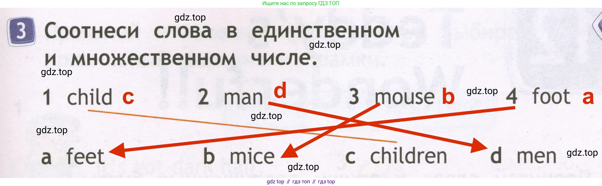 Английский язык (english), 2 класс Рабочая тетрадь (workbook), авторы: Быкова Надежда Ильинична (Bykova Nadezhda), Дули Дженни (Dooley Jenny), Поспелова Марина Давидовна (Pospelova Marina), Эванс Вирджиния (Evans Virginia), издательство Просвещение, Москва, 2023, розового цвета, страница 47, номер 3, Решение 3