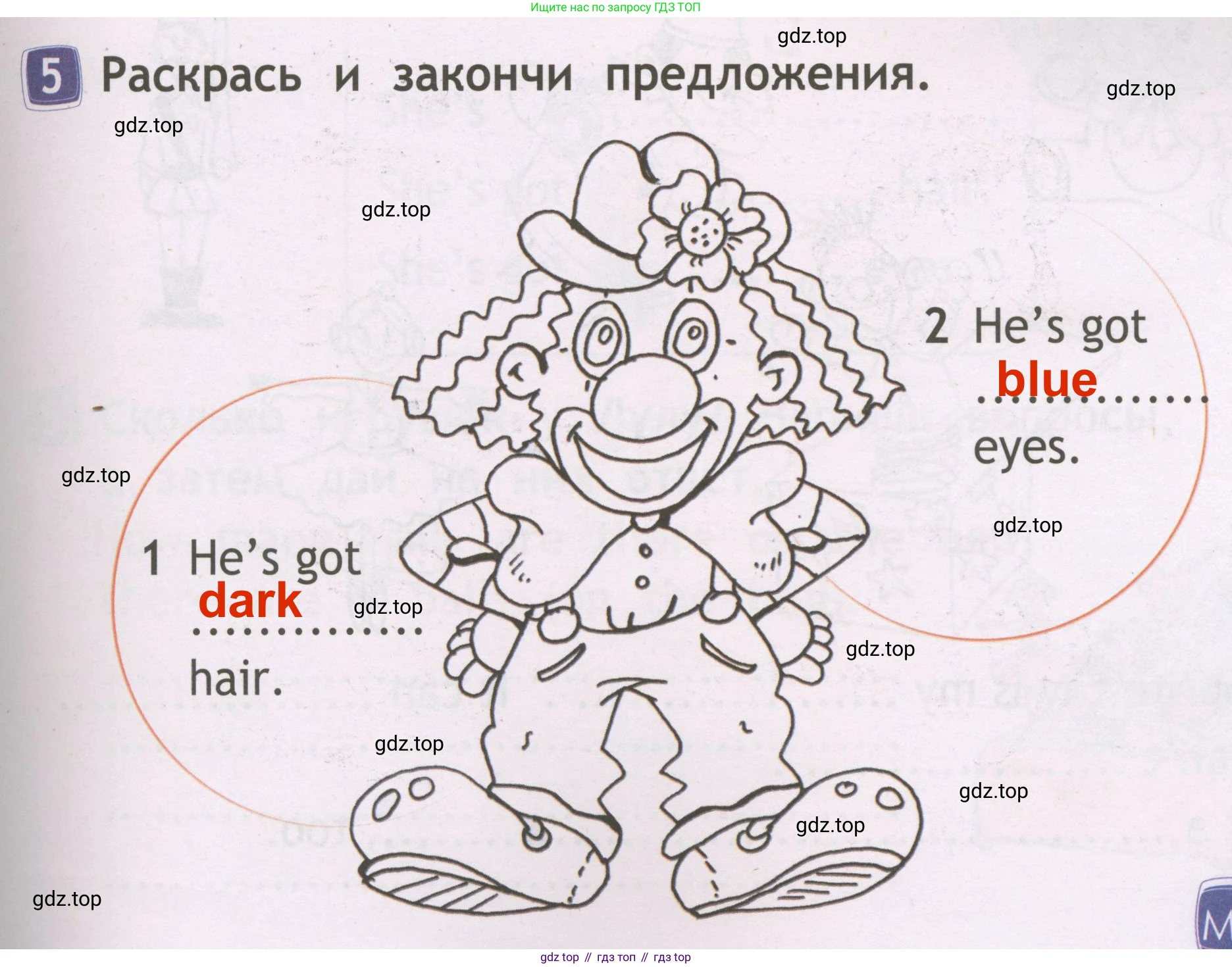 Английский язык (english), 2 класс Рабочая тетрадь (workbook), авторы: Быкова Надежда Ильинична (Bykova Nadezhda), Дули Дженни (Dooley Jenny), Поспелова Марина Давидовна (Pospelova Marina), Эванс Вирджиния (Evans Virginia), издательство Просвещение, Москва, 2023, розового цвета, страница 47, номер 5, Решение 3