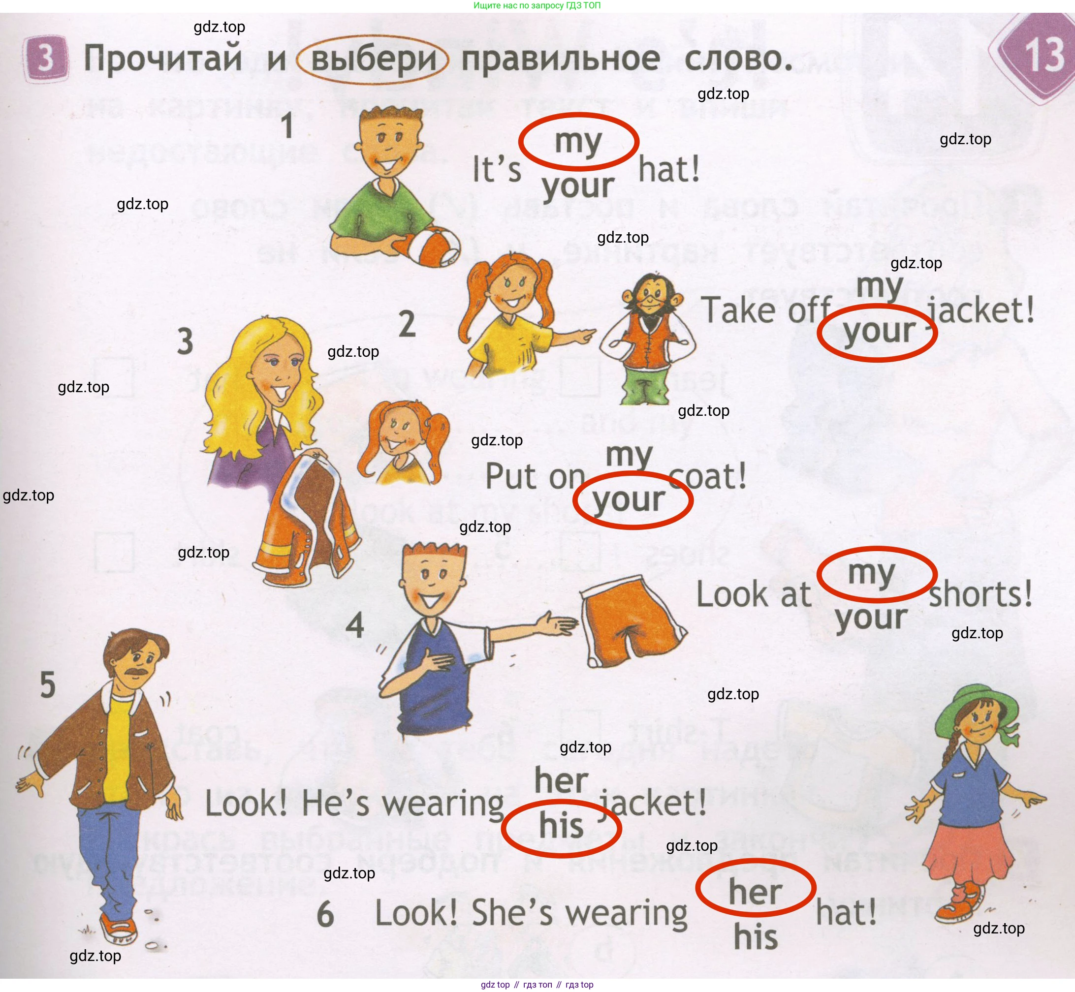 Английский язык (english), 2 класс Рабочая тетрадь (workbook), авторы: Быкова Надежда Ильинична (Bykova Nadezhda), Дули Дженни (Dooley Jenny), Поспелова Марина Давидовна (Pospelova Marina), Эванс Вирджиния (Evans Virginia), издательство Просвещение, Москва, 2023, розового цвета, страница 55, номер 3, Решение 3