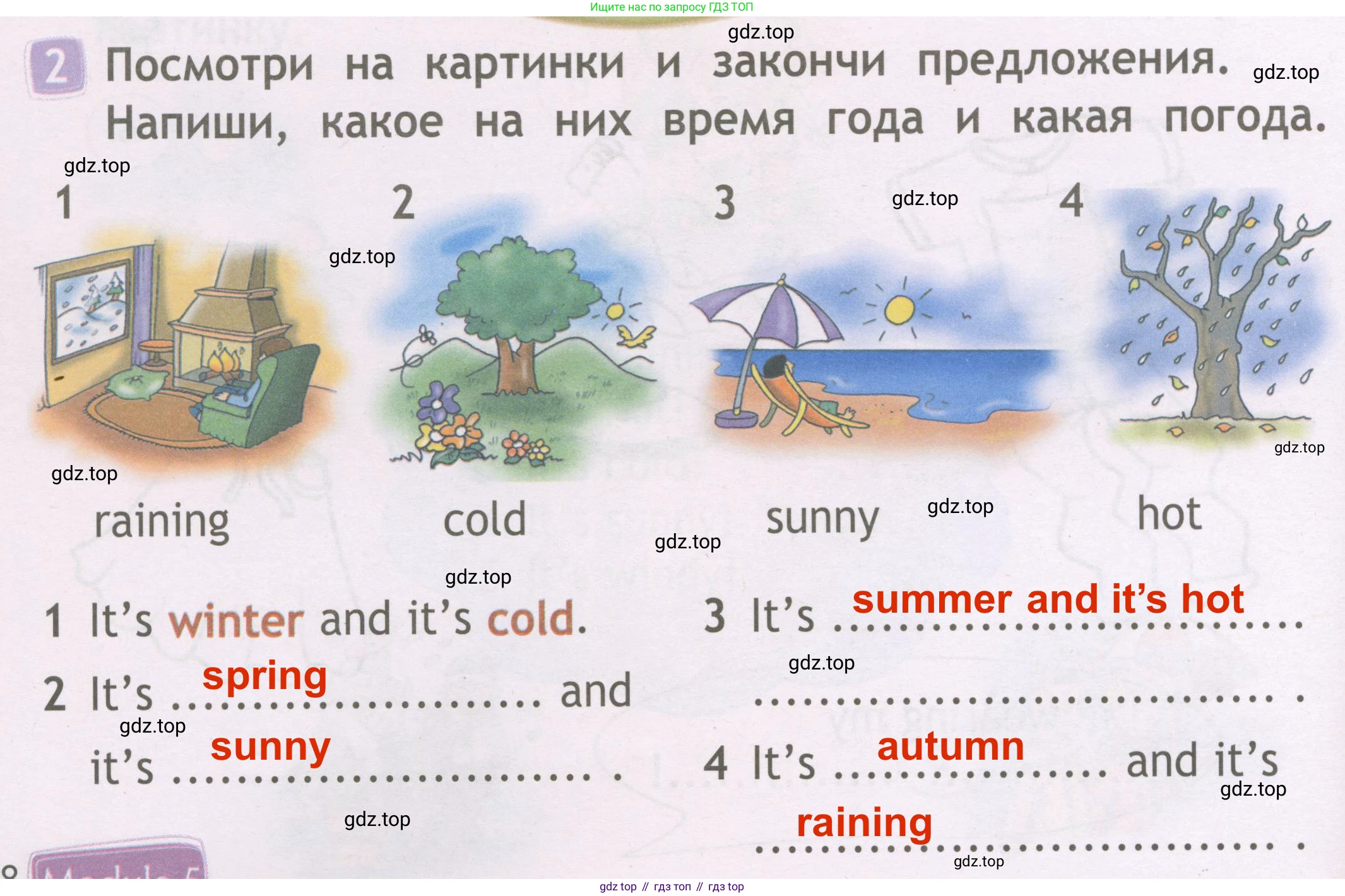 Английский язык (english), 2 класс Рабочая тетрадь (workbook), авторы: Быкова Надежда Ильинична (Bykova Nadezhda), Дули Дженни (Dooley Jenny), Поспелова Марина Давидовна (Pospelova Marina), Эванс Вирджиния (Evans Virginia), издательство Просвещение, Москва, 2023, розового цвета, страница 58, номер 2, Решение 3