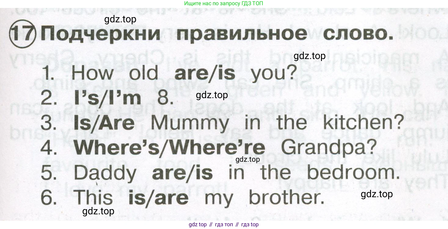 Английский язык (english), 2 класс Сборник упражнений, авторы: Быкова Надежда Ильинична (Bykova Nadezhda), Поспелова Марина Давидовна (Pospelova Marina), издательство Просвещение, Москва, 2023, розового цвета, страница 77, номер 17, Условие