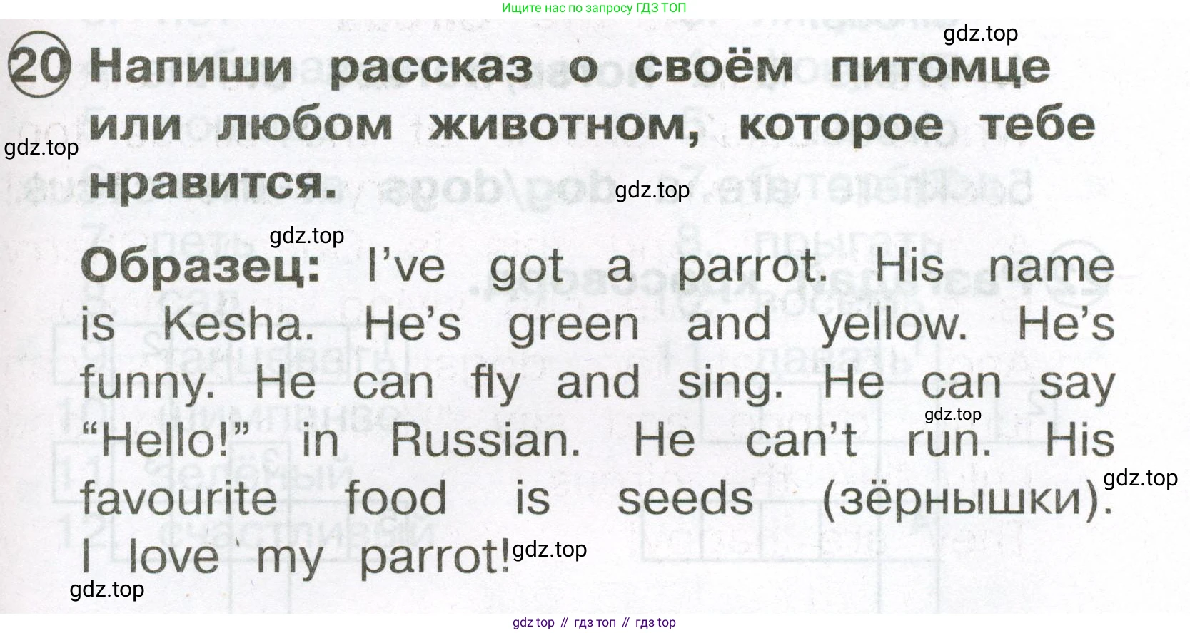 Английский язык (english), 2 класс Сборник упражнений, авторы: Быкова Надежда Ильинична (Bykova Nadezhda), Поспелова Марина Давидовна (Pospelova Marina), издательство Просвещение, Москва, 2023, розового цвета, страница 79, номер 20, Условие