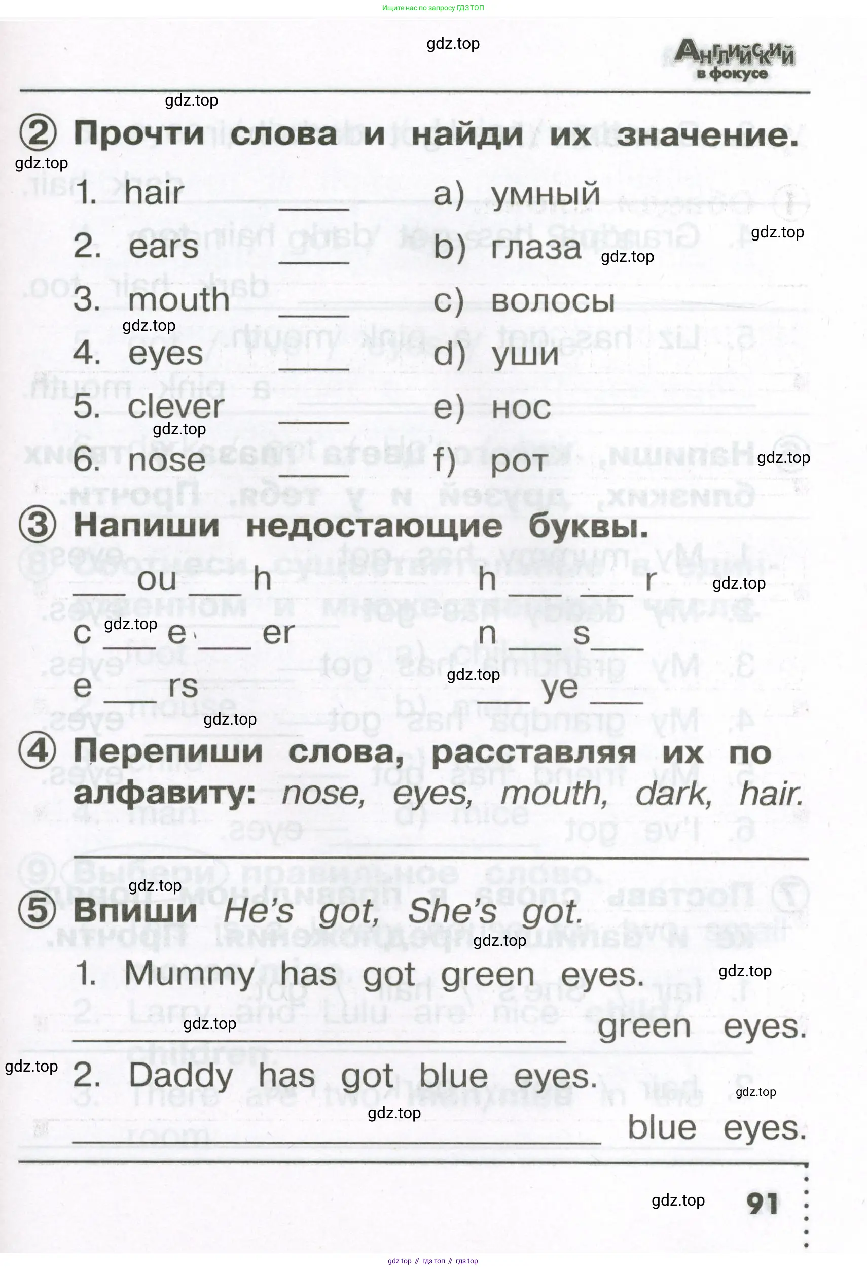 Английский язык (english), 2 класс Сборник упражнений, авторы: Быкова Надежда Ильинична (Bykova Nadezhda), Поспелова Марина Давидовна (Pospelova Marina), издательство Просвещение, Москва, 2023, розового цвета, страница 91