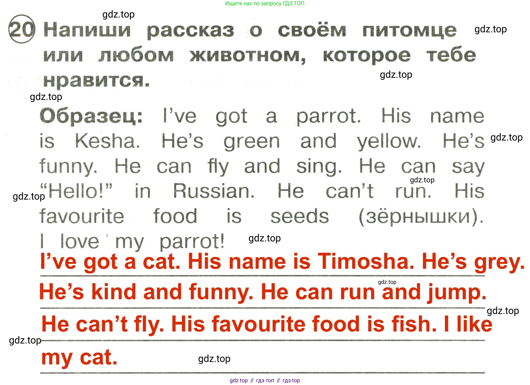 Английский язык (english), 2 класс Сборник упражнений, авторы: Быкова Надежда Ильинична (Bykova Nadezhda), Поспелова Марина Давидовна (Pospelova Marina), издательство Просвещение, Москва, 2023, розового цвета, страница 79, номер 20, Решение 3