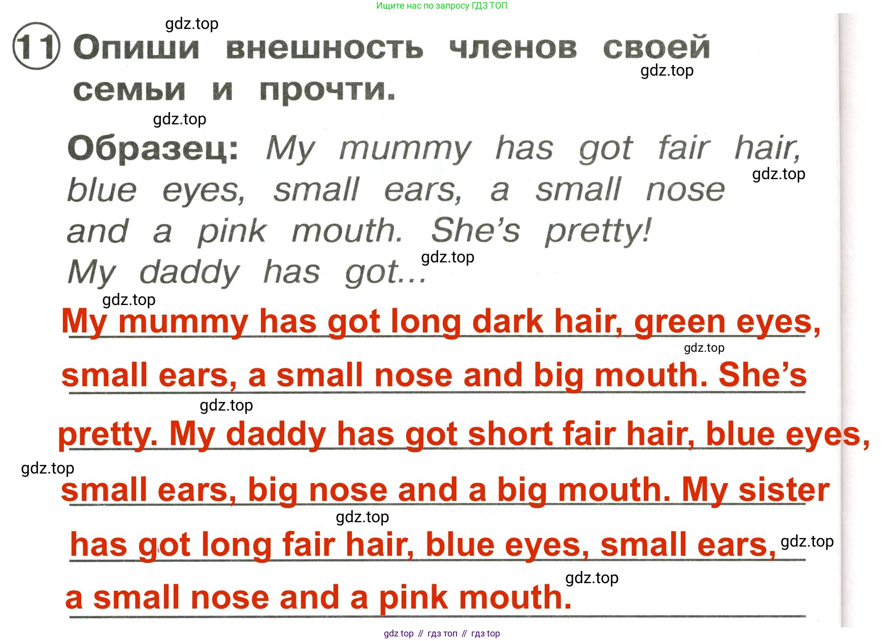 Английский язык (english), 2 класс Сборник упражнений, авторы: Быкова Надежда Ильинична (Bykova Nadezhda), Поспелова Марина Давидовна (Pospelova Marina), издательство Просвещение, Москва, 2023, розового цвета, страница 102, номер 11, Решение 3