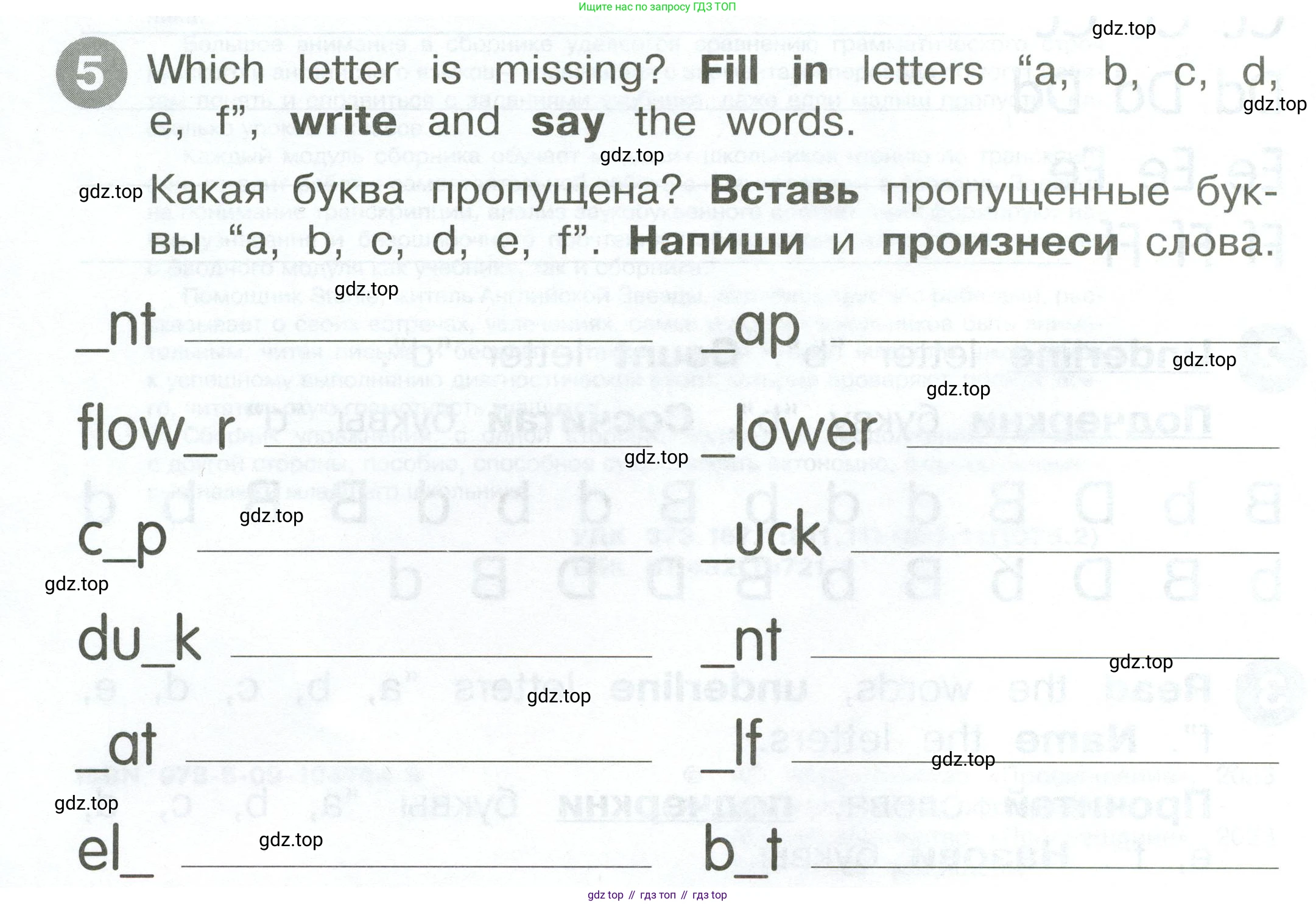 ГДЗ Английский язык (english), 2 класс Сборник упражнений, автор: Котова Марина Петровна, издательство Просвещение, Москва, 2023, белого цвета, страница 4, номер 5, Условие