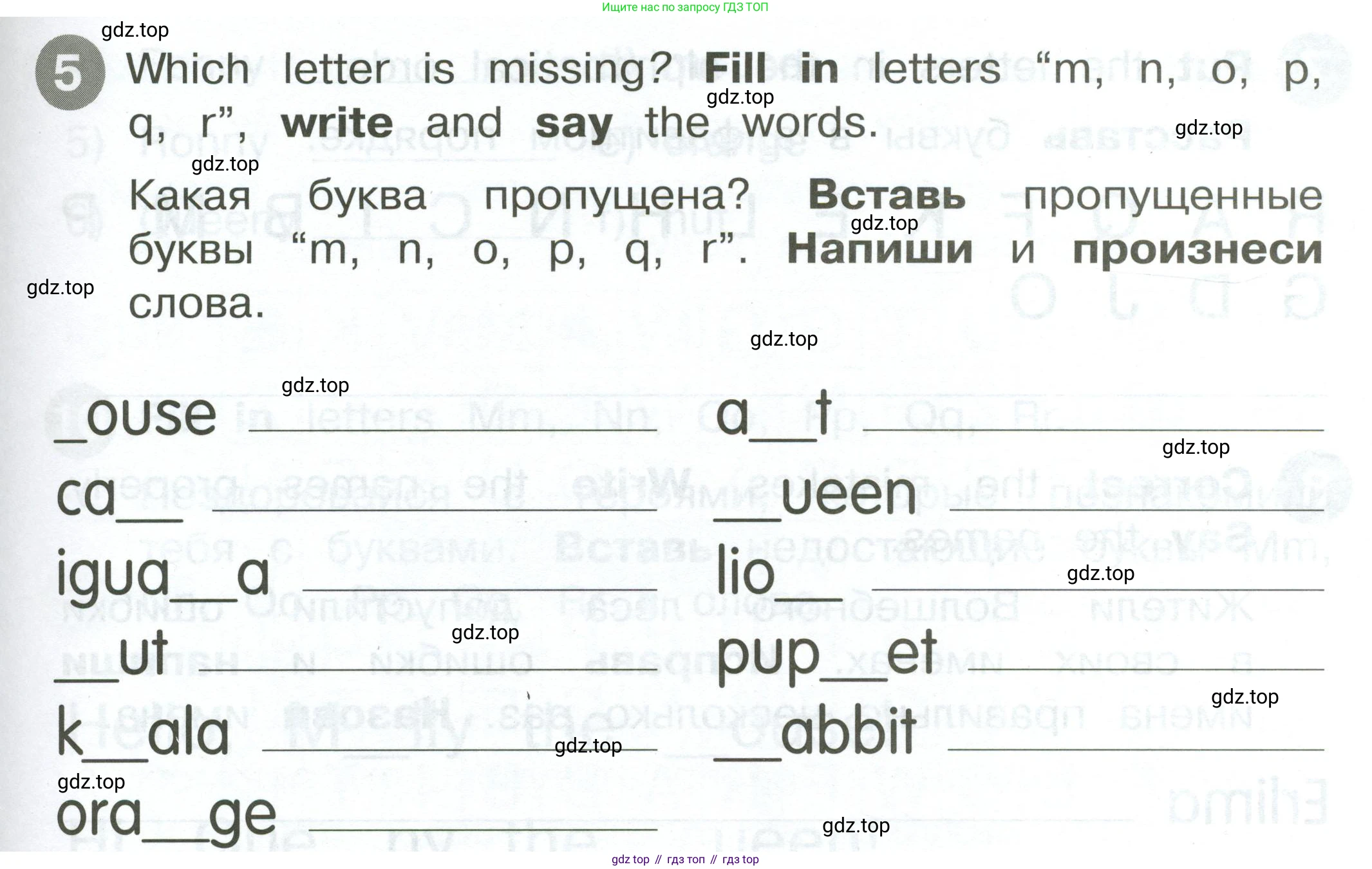 ГДЗ Английский язык (english), 2 класс Сборник упражнений, автор: Котова Марина Петровна, издательство Просвещение, Москва, 2023, белого цвета, страница 15, номер 5, Условие