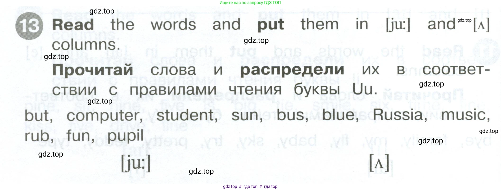 ГДЗ Английский язык (english), 2 класс Сборник упражнений, автор: Котова Марина Петровна, издательство Просвещение, Москва, 2023, белого цвета, страница 30, номер 13, Условие