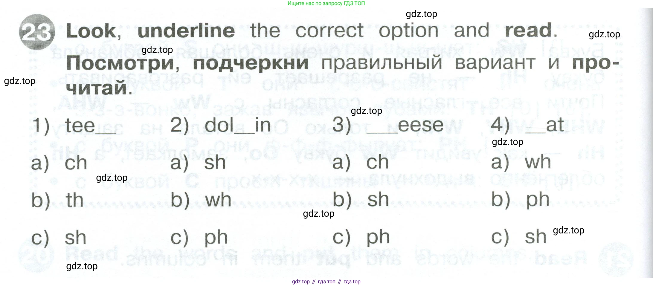 ГДЗ Английский язык (english), 2 класс Сборник упражнений, автор: Котова Марина Петровна, издательство Просвещение, Москва, 2023, белого цвета, страница 36, номер 23, Условие