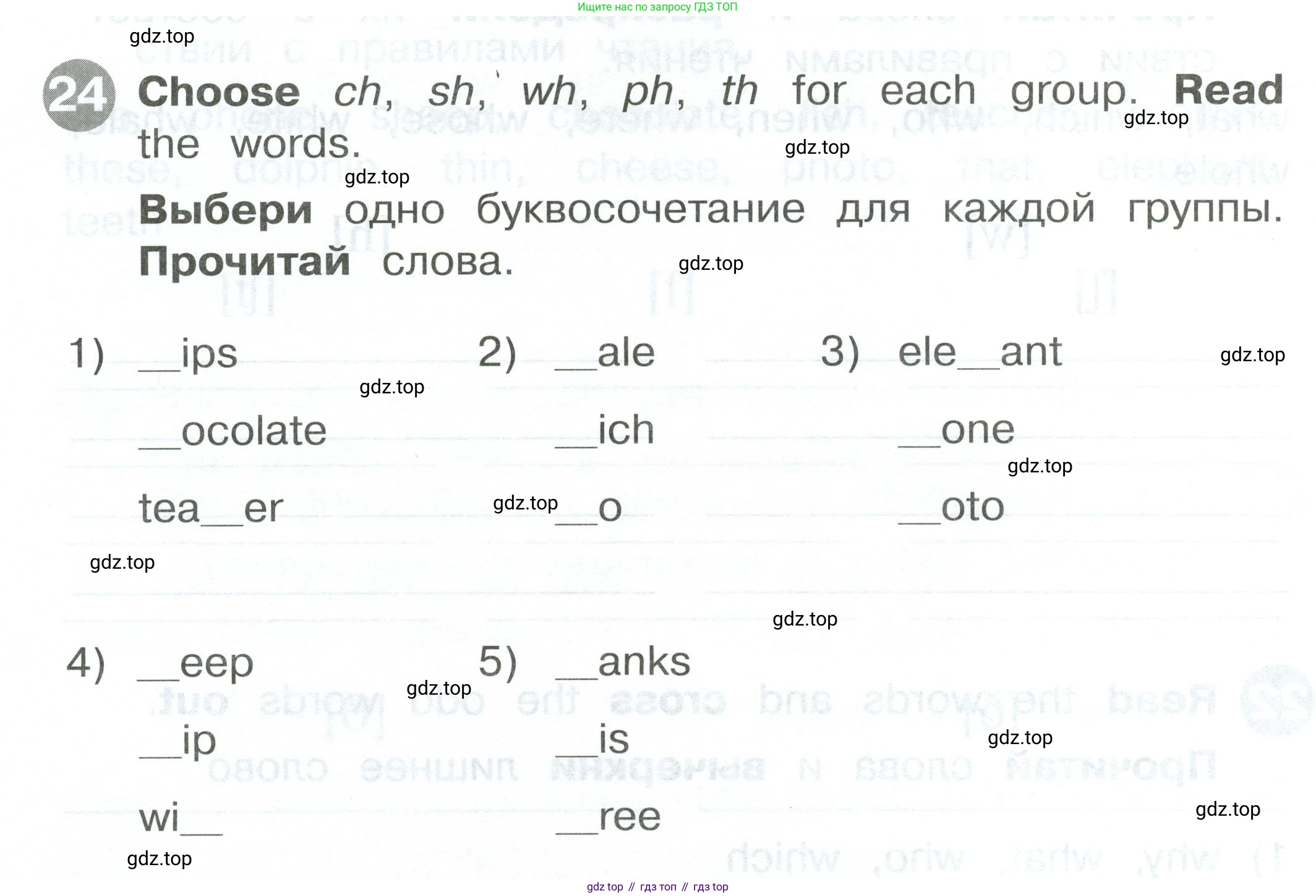 ГДЗ Английский язык (english), 2 класс Сборник упражнений, автор: Котова Марина Петровна, издательство Просвещение, Москва, 2023, белого цвета, страница 36, номер 24, Условие