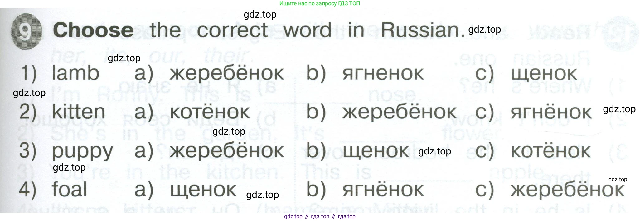 ГДЗ Английский язык (english), 2 класс Сборник упражнений, автор: Котова Марина Петровна, издательство Просвещение, Москва, 2023, белого цвета, страница 43, номер 9, Условие