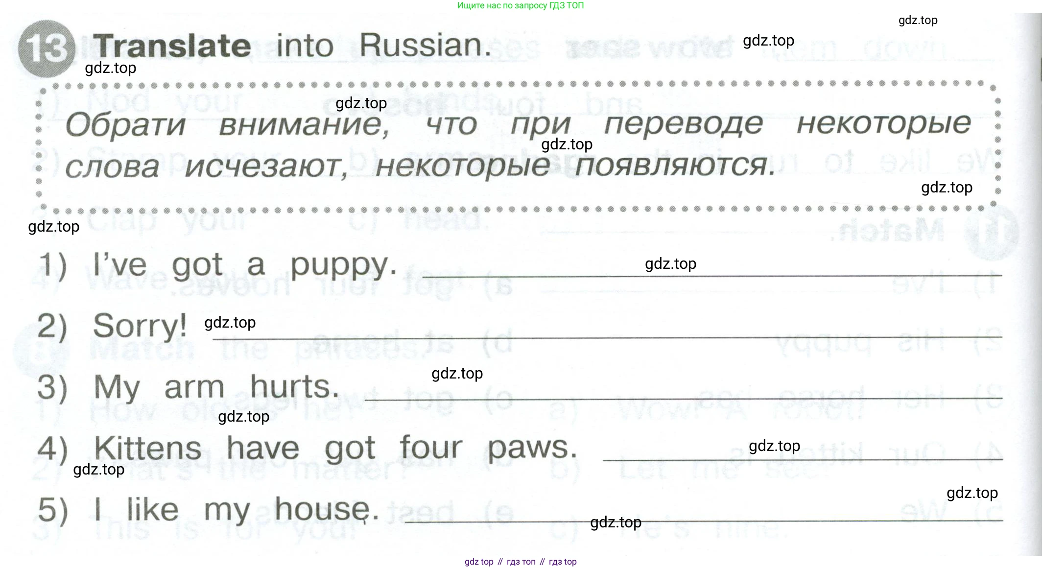 ГДЗ Английский язык (english), 2 класс Сборник упражнений, автор: Котова Марина Петровна, издательство Просвещение, Москва, 2023, белого цвета, страница 64, номер 13, Условие