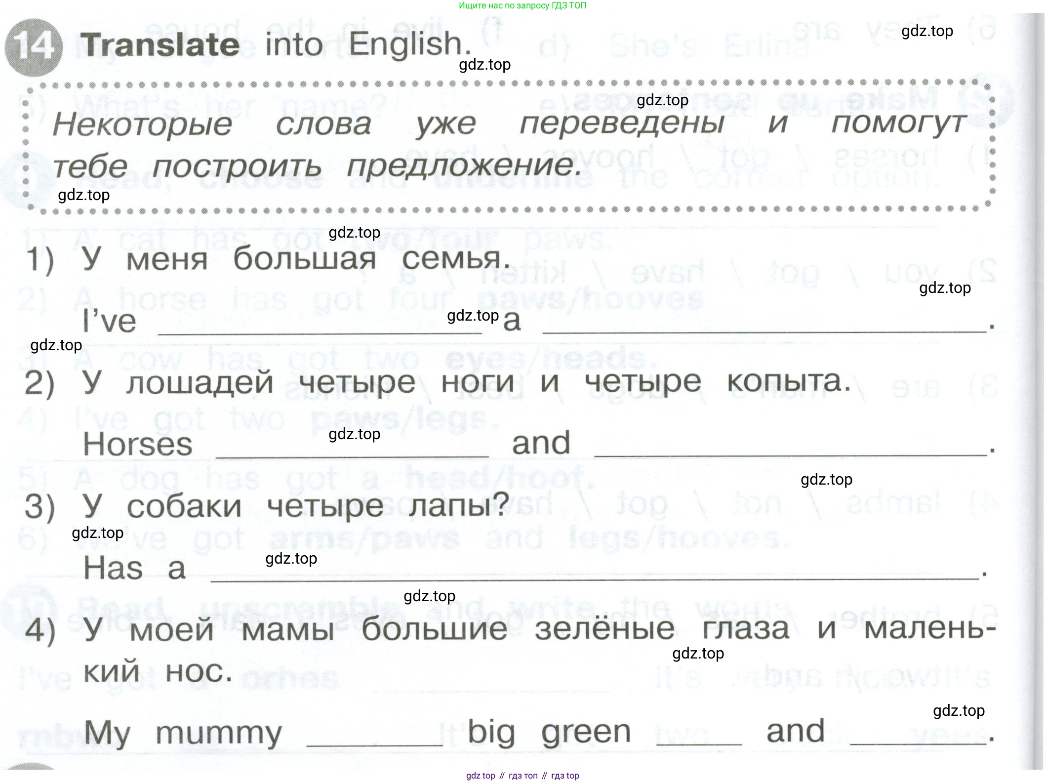 ГДЗ Английский язык (english), 2 класс Сборник упражнений, автор: Котова Марина Петровна, издательство Просвещение, Москва, 2023, белого цвета, страница 64, номер 14, Условие