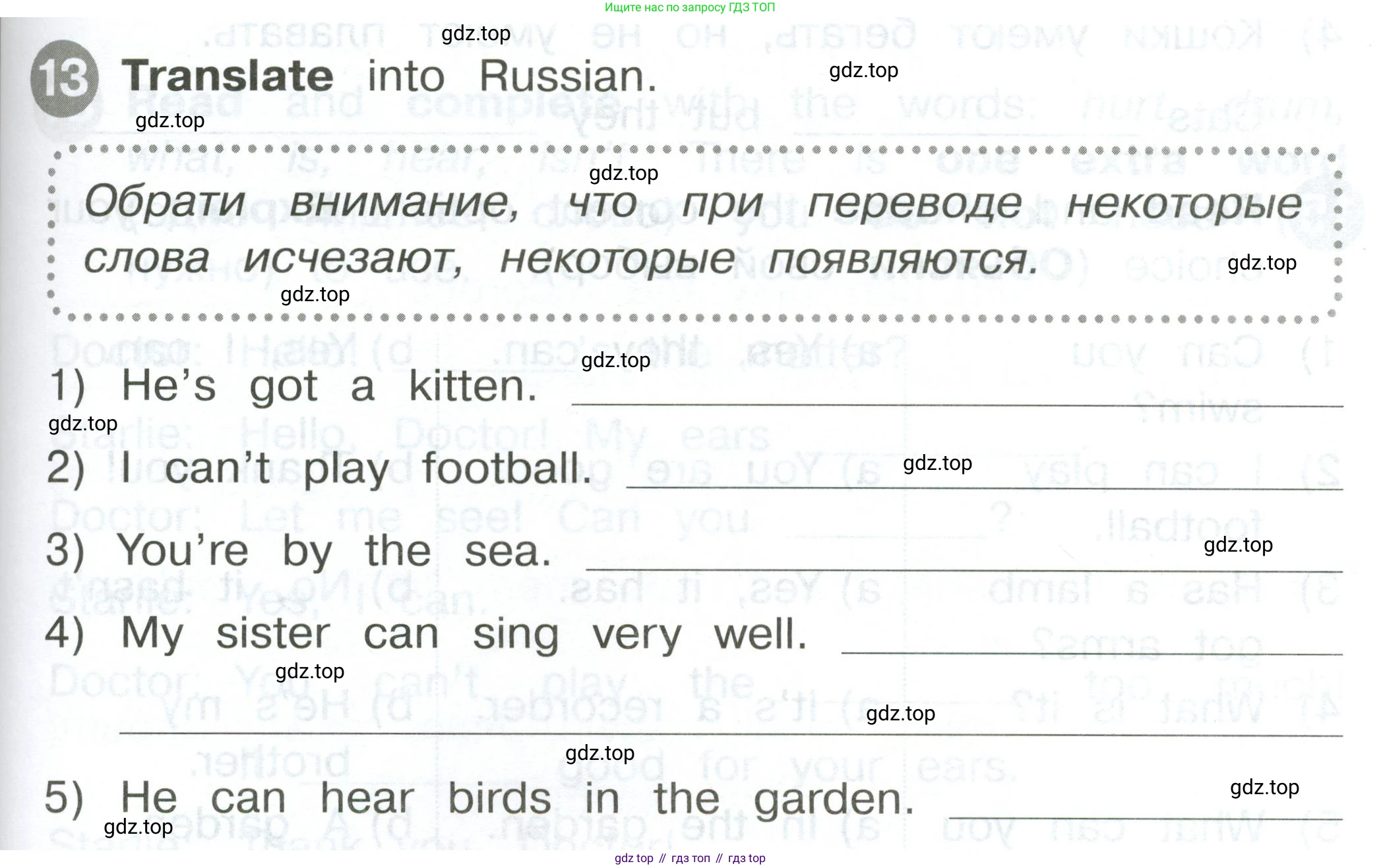 ГДЗ Английский язык (english), 2 класс Сборник упражнений, автор: Котова Марина Петровна, издательство Просвещение, Москва, 2023, белого цвета, страница 73, номер 13, Условие