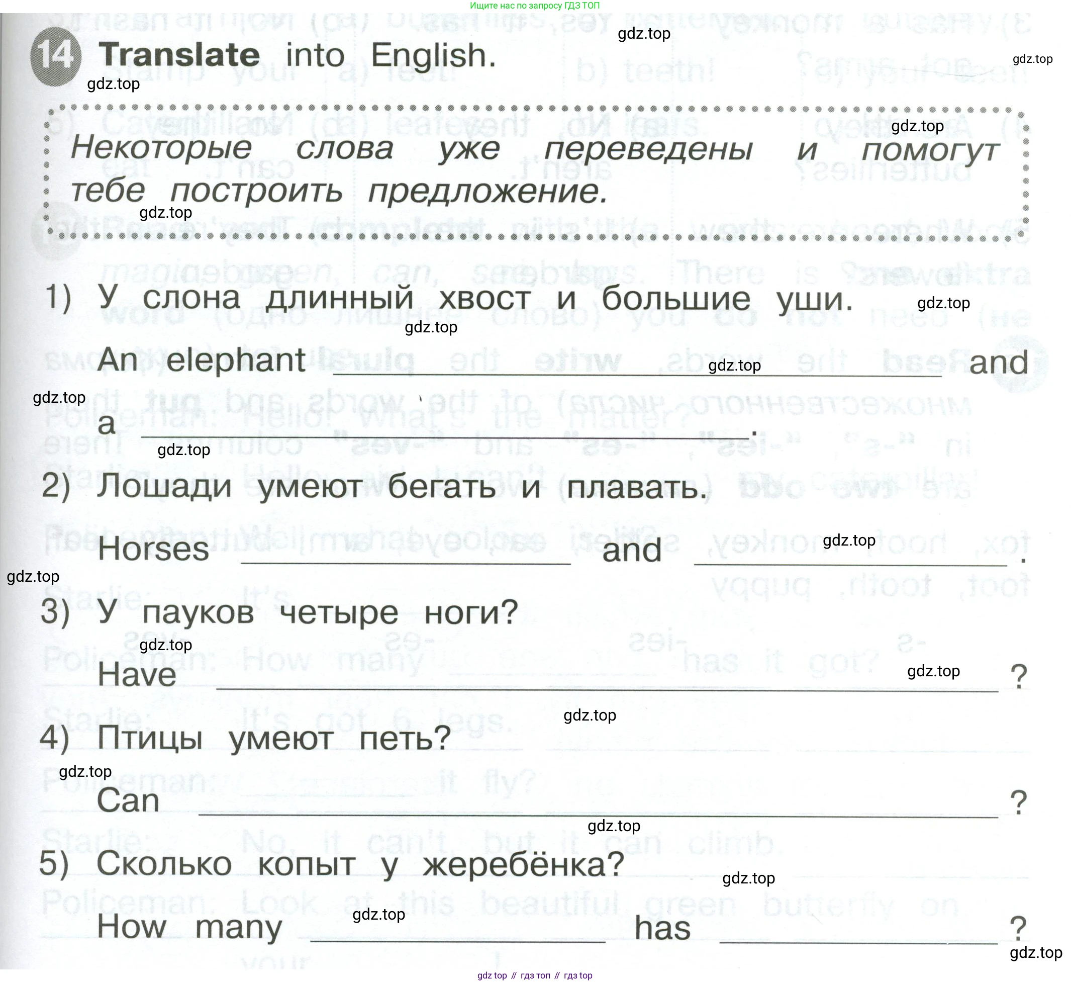ГДЗ Английский язык (english), 2 класс Сборник упражнений, автор: Котова Марина Петровна, издательство Просвещение, Москва, 2023, белого цвета, страница 83, номер 14, Условие