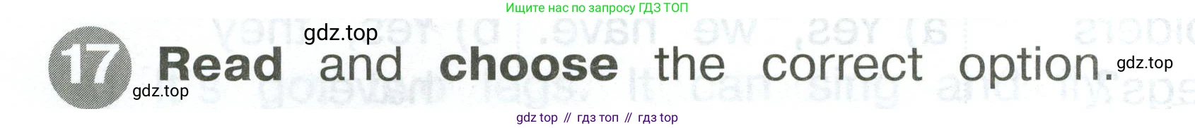 ГДЗ Английский язык (english), 2 класс Сборник упражнений, автор: Котова Марина Петровна, издательство Просвещение, Москва, 2023, белого цвета, страница 84, номер 17, Условие
