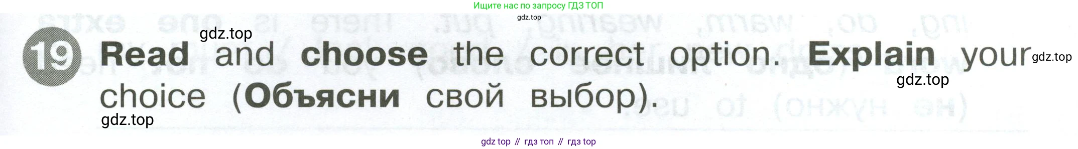 ГДЗ Английский язык (english), 2 класс Сборник упражнений, автор: Котова Марина Петровна, издательство Просвещение, Москва, 2023, белого цвета, страница 119, номер 19, Условие