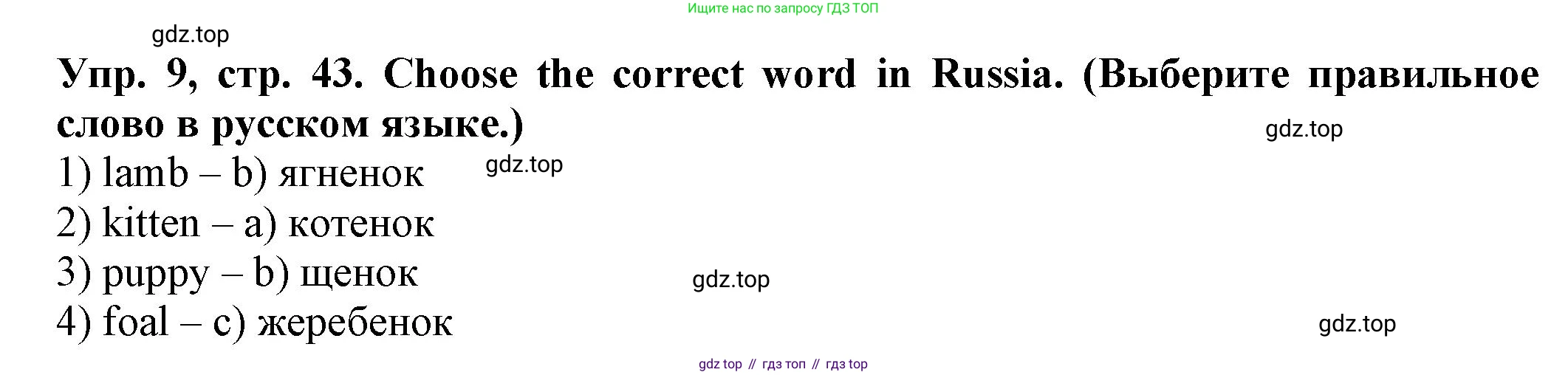 ГДЗ Английский язык (english), 2 класс Сборник упражнений, автор: Котова Марина Петровна, издательство Просвещение, Москва, 2023, белого цвета, страница 43, номер 9, Решение