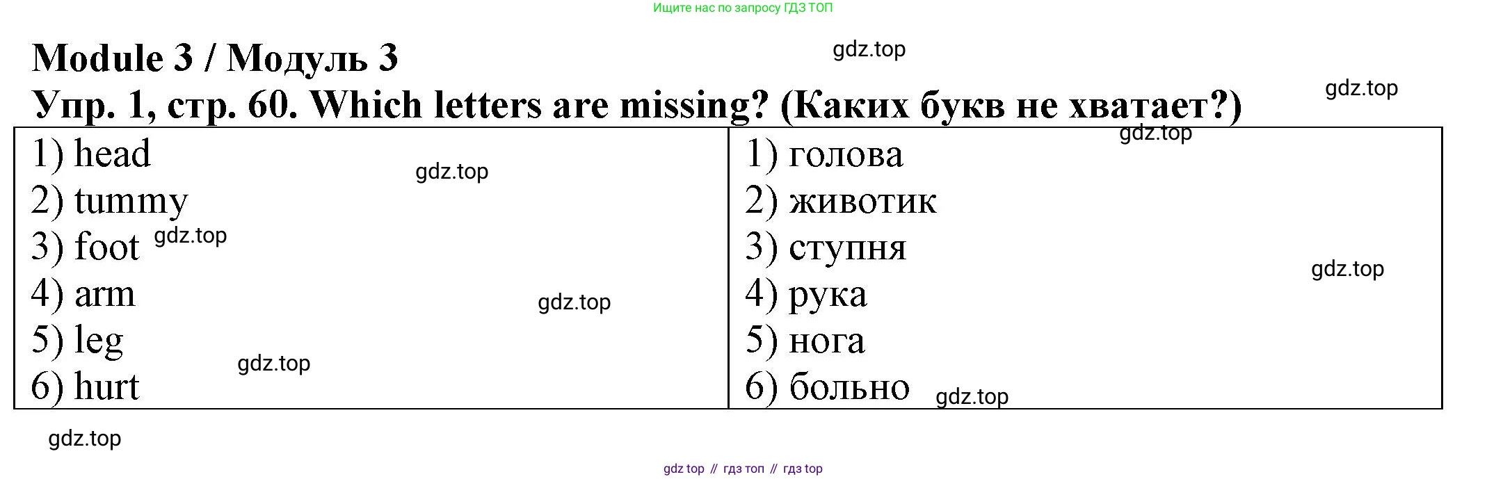 ГДЗ Английский язык (english), 2 класс Сборник упражнений, автор: Котова Марина Петровна, издательство Просвещение, Москва, 2023, белого цвета, страница 60, номер 1, Решение