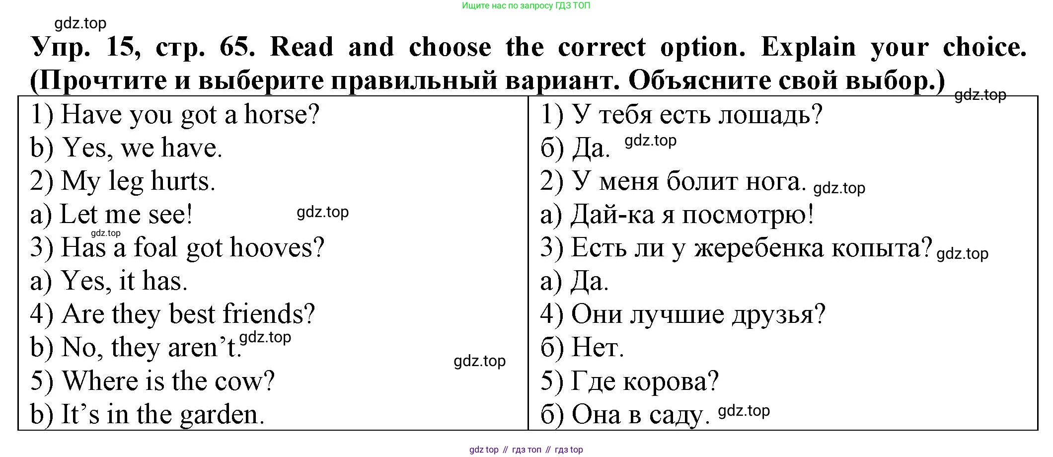 ГДЗ Английский язык (english), 2 класс Сборник упражнений, автор: Котова Марина Петровна, издательство Просвещение, Москва, 2023, белого цвета, страница 65, номер 15, Решение