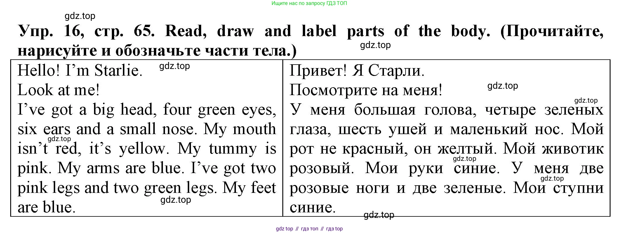 ГДЗ Английский язык (english), 2 класс Сборник упражнений, автор: Котова Марина Петровна, издательство Просвещение, Москва, 2023, белого цвета, страница 65, номер 16, Решение