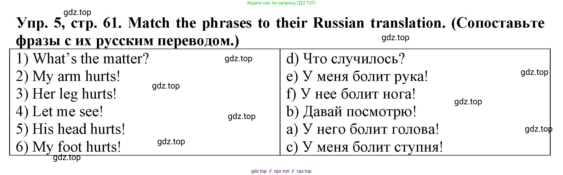 ГДЗ Английский язык (english), 2 класс Сборник упражнений, автор: Котова Марина Петровна, издательство Просвещение, Москва, 2023, белого цвета, страница 61, номер 5, Решение