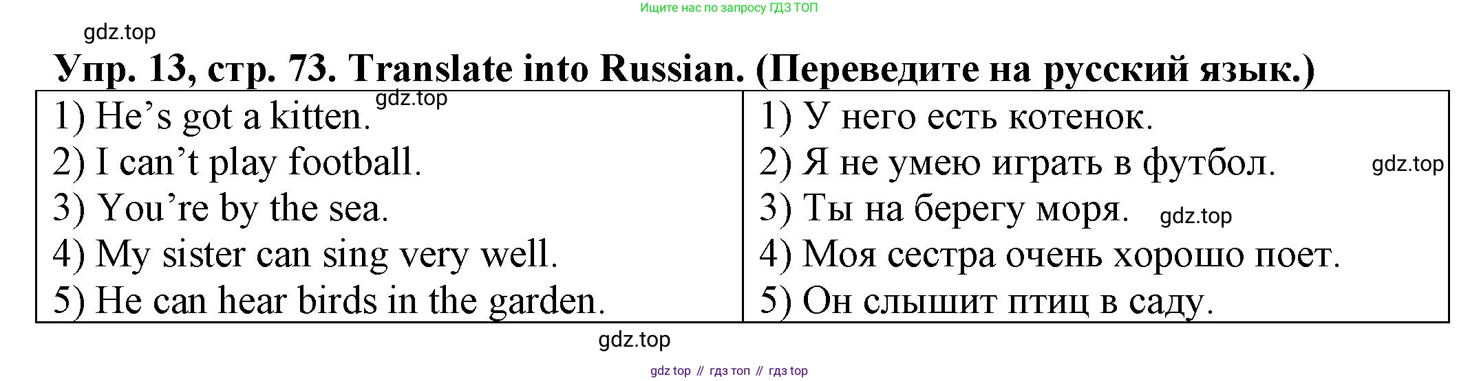 ГДЗ Английский язык (english), 2 класс Сборник упражнений, автор: Котова Марина Петровна, издательство Просвещение, Москва, 2023, белого цвета, страница 73, номер 13, Решение