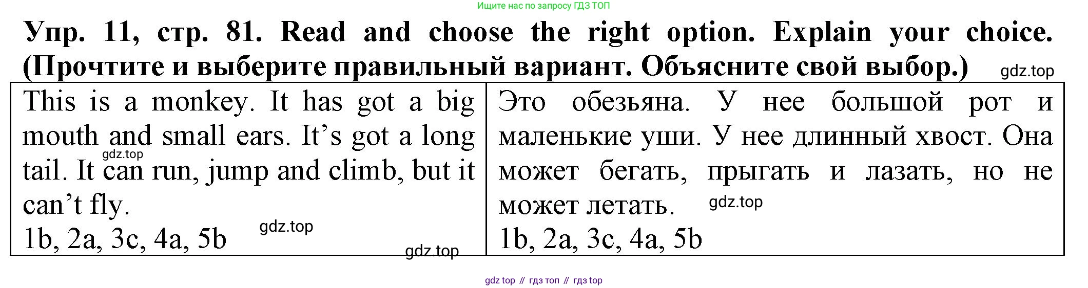 ГДЗ Английский язык (english), 2 класс Сборник упражнений, автор: Котова Марина Петровна, издательство Просвещение, Москва, 2023, белого цвета, страница 81, номер 11, Решение