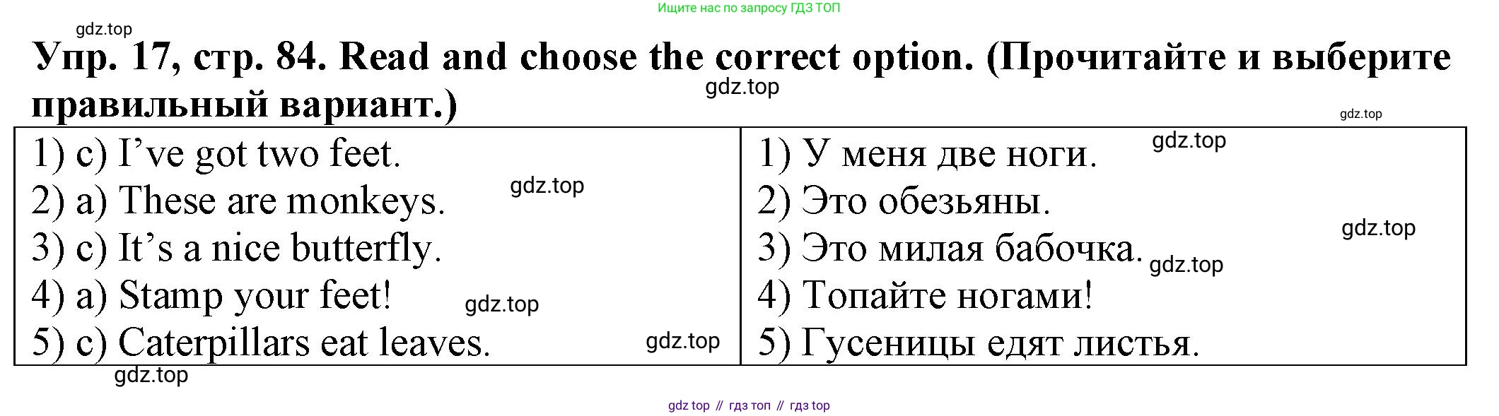 ГДЗ Английский язык (english), 2 класс Сборник упражнений, автор: Котова Марина Петровна, издательство Просвещение, Москва, 2023, белого цвета, страница 84, номер 17, Решение