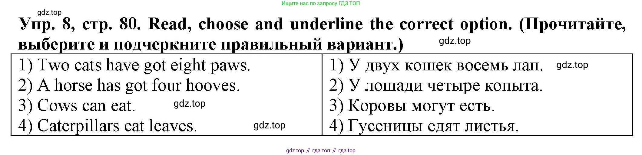 ГДЗ Английский язык (english), 2 класс Сборник упражнений, автор: Котова Марина Петровна, издательство Просвещение, Москва, 2023, белого цвета, страница 80, номер 8, Решение