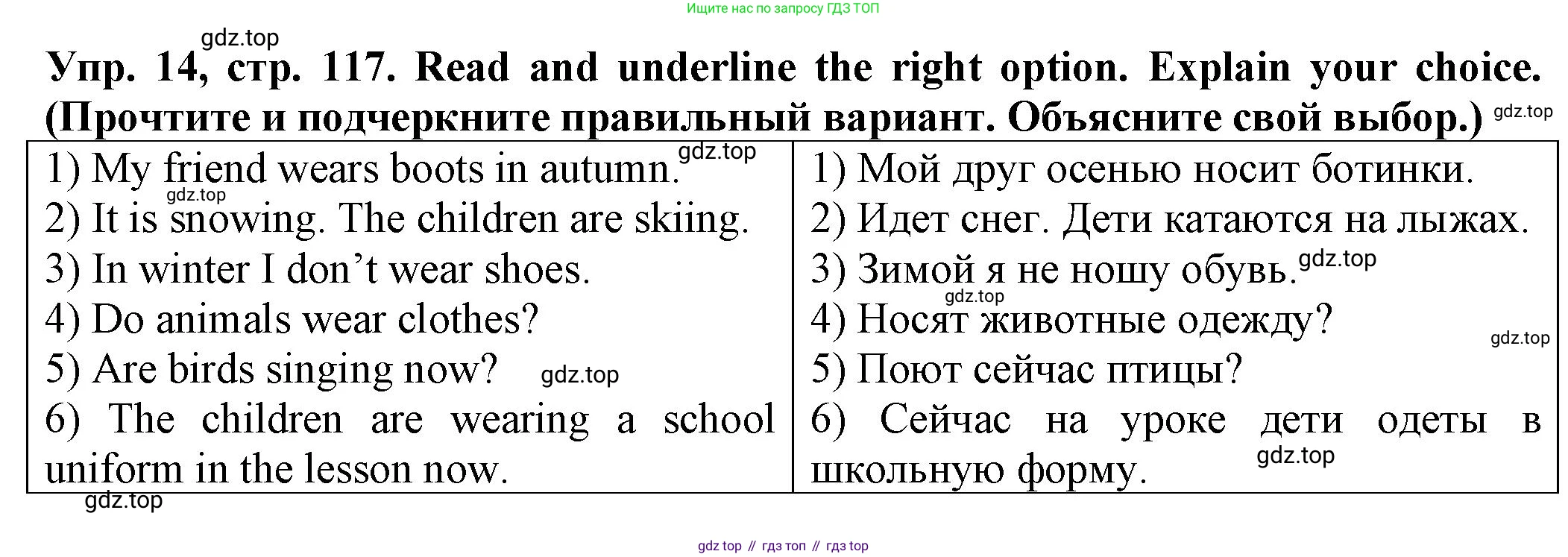 ГДЗ Английский язык (english), 2 класс Сборник упражнений, автор: Котова Марина Петровна, издательство Просвещение, Москва, 2023, белого цвета, страница 117, номер 14, Решение