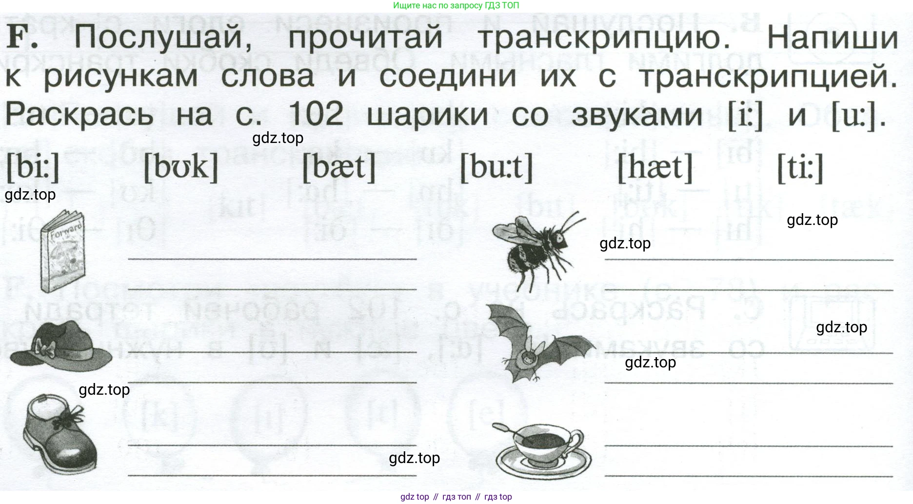 Английский язык (english), 2 класс рабочая тетрадь (activity book), авторы: Вербицкая Мария Валерьевна (Verbitskaya Maria), Оралова Ольга Викторовна (Oralova Olga), Эббс Брайен (Abbs Brian), Уорелл Энн (Worrall Anne), Уорд Энн (Ward Ann), издательство Просвещение, Москва, 2023, зелёного цвета, страница 6, номер F, Условие