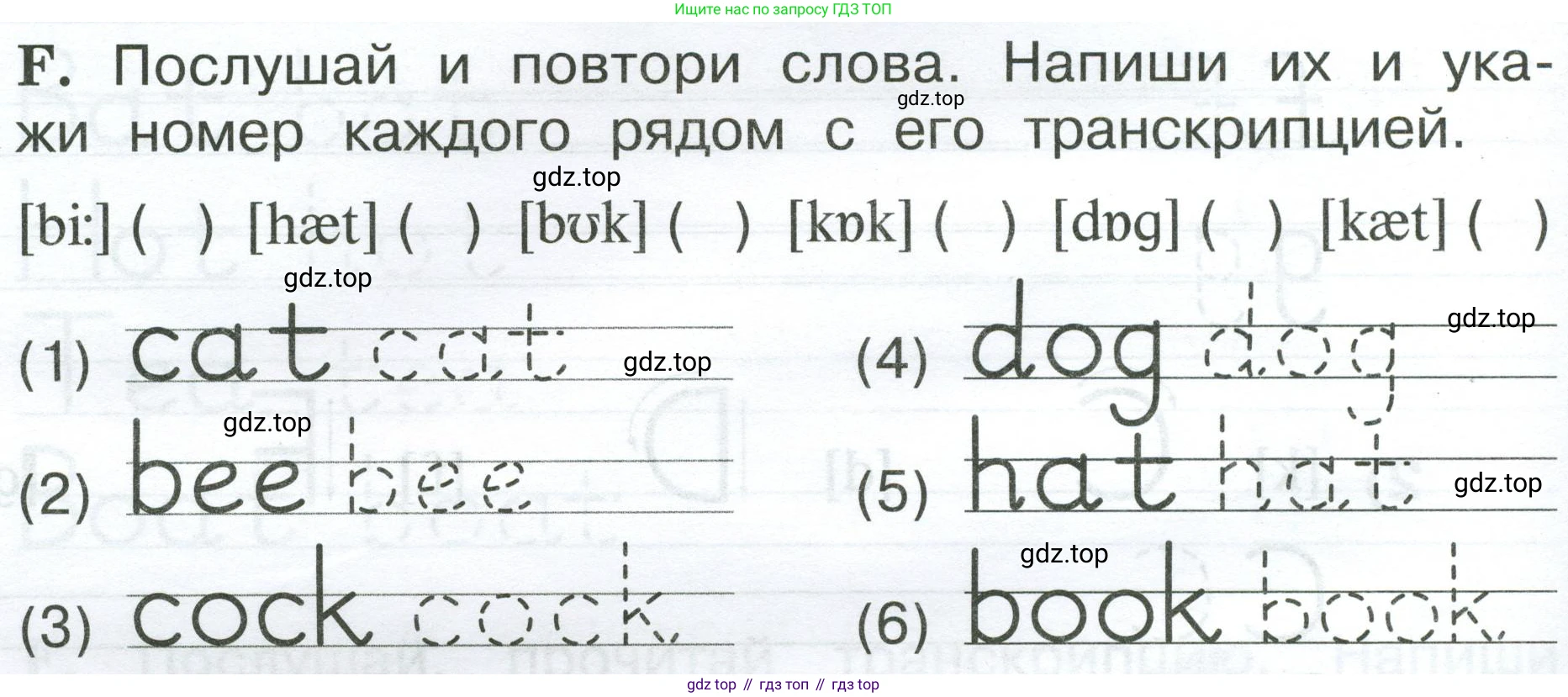 Английский язык (english), 2 класс рабочая тетрадь (activity book), авторы: Вербицкая Мария Валерьевна (Verbitskaya Maria), Оралова Ольга Викторовна (Oralova Olga), Эббс Брайен (Abbs Brian), Уорелл Энн (Worrall Anne), Уорд Энн (Ward Ann), издательство Просвещение, Москва, 2023, зелёного цвета, страница 8, номер F, Условие