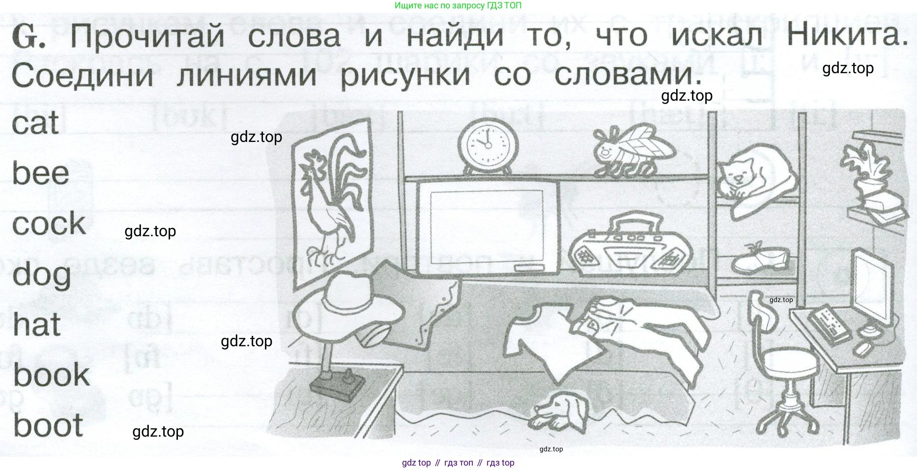 Английский язык (english), 2 класс рабочая тетрадь (activity book), авторы: Вербицкая Мария Валерьевна (Verbitskaya Maria), Оралова Ольга Викторовна (Oralova Olga), Эббс Брайен (Abbs Brian), Уорелл Энн (Worrall Anne), Уорд Энн (Ward Ann), издательство Просвещение, Москва, 2023, зелёного цвета, страница 8, номер G, Условие