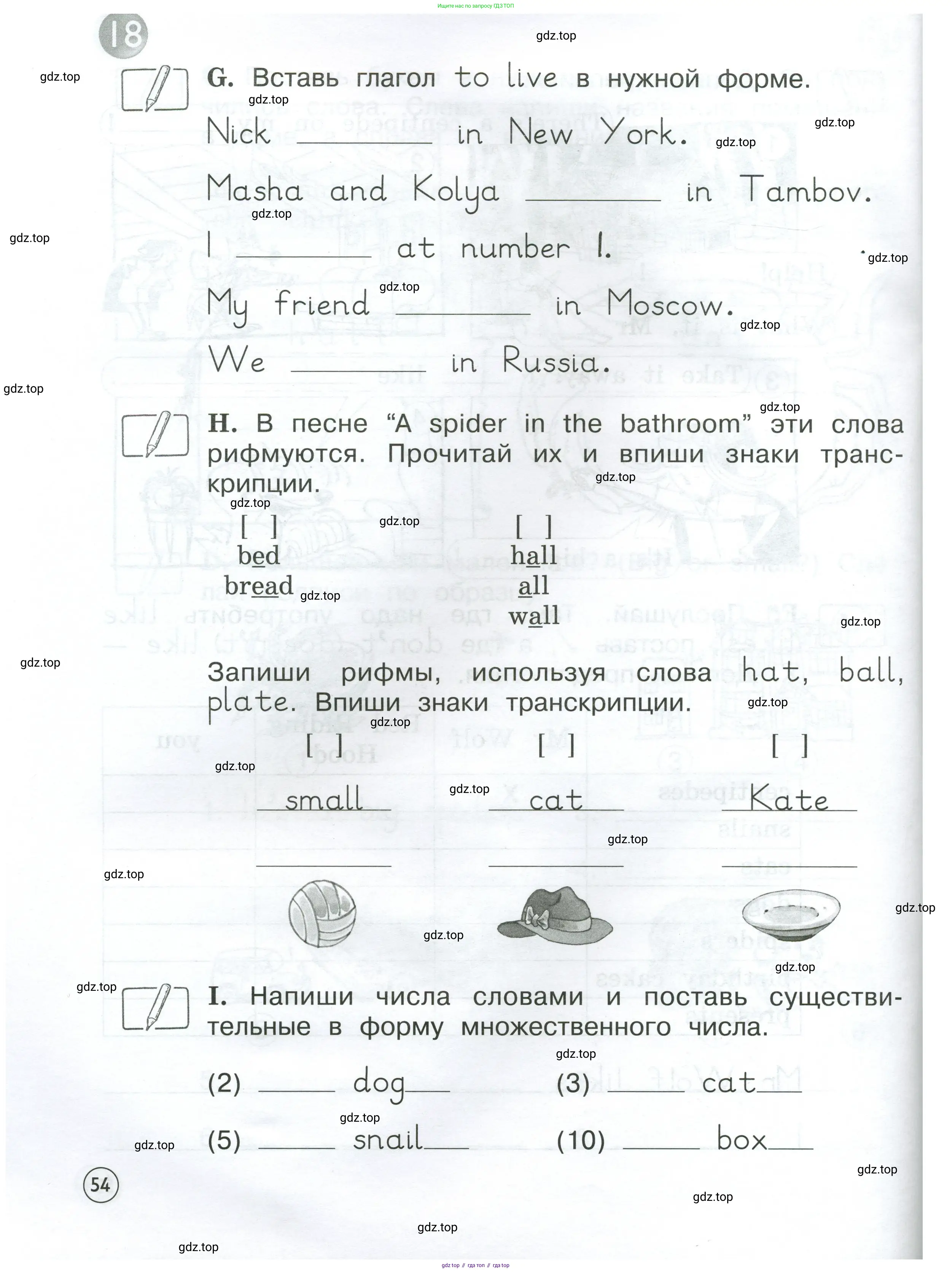 Английский язык (english), 2 класс рабочая тетрадь (activity book), авторы: Вербицкая Мария Валерьевна (Verbitskaya Maria), Оралова Ольга Викторовна (Oralova Olga), Эббс Брайен (Abbs Brian), Уорелл Энн (Worrall Anne), Уорд Энн (Ward Ann), издательство Просвещение, Москва, 2023, зелёного цвета, страница 54