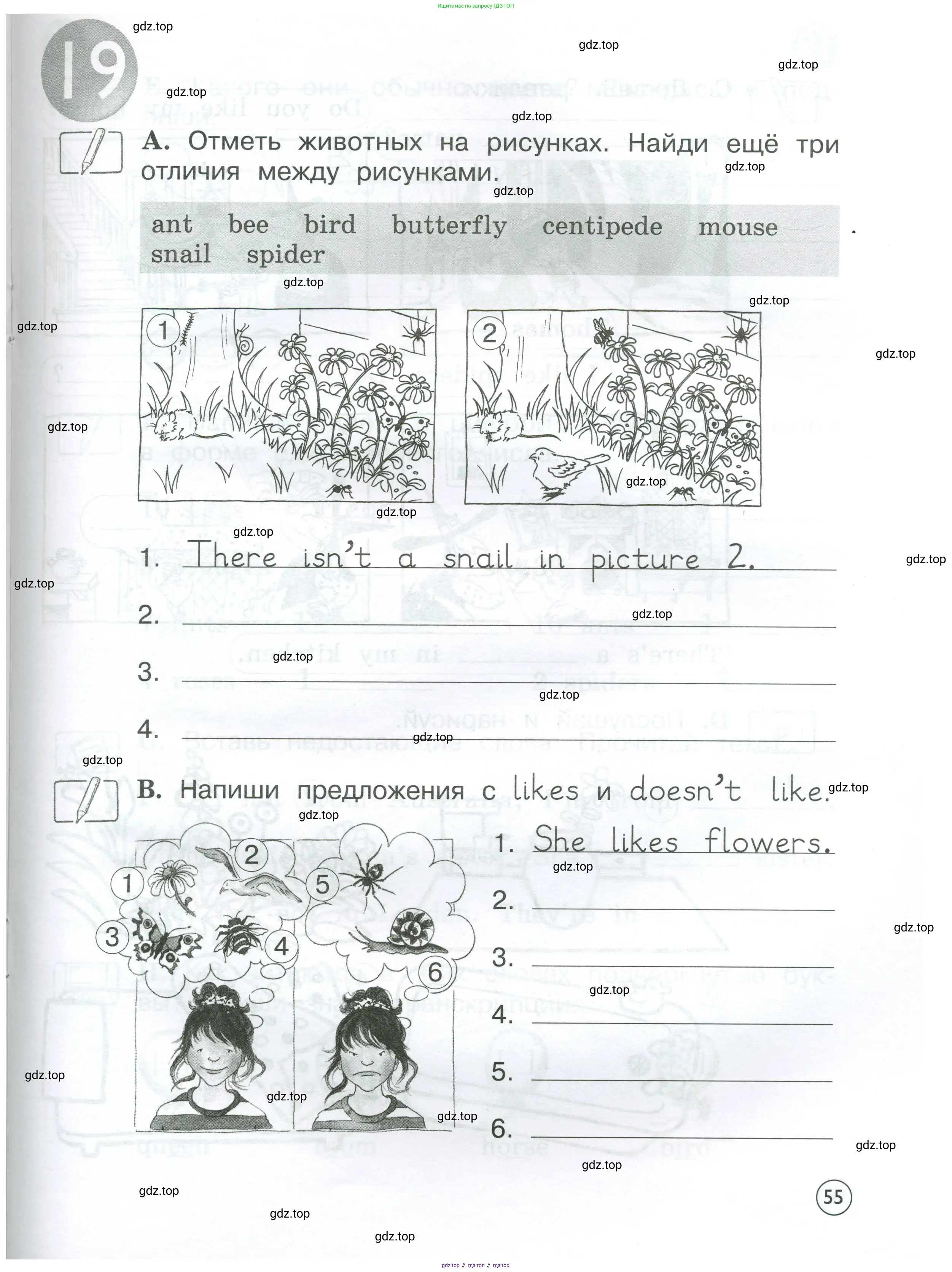 Английский язык (english), 2 класс рабочая тетрадь (activity book), авторы: Вербицкая Мария Валерьевна (Verbitskaya Maria), Оралова Ольга Викторовна (Oralova Olga), Эббс Брайен (Abbs Brian), Уорелл Энн (Worrall Anne), Уорд Энн (Ward Ann), издательство Просвещение, Москва, 2023, зелёного цвета, страница 55