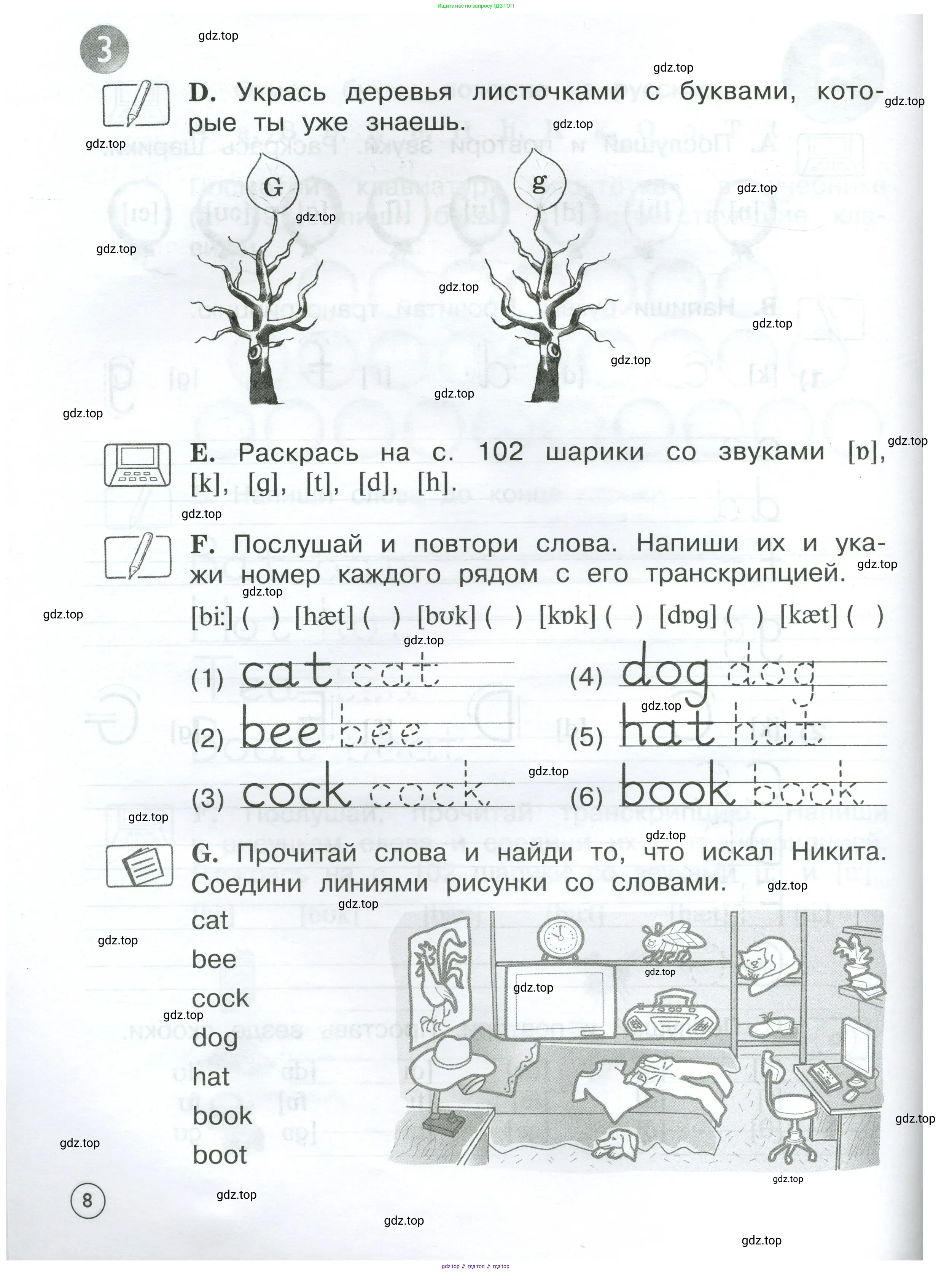 Английский язык (english), 2 класс рабочая тетрадь (activity book), авторы: Вербицкая Мария Валерьевна (Verbitskaya Maria), Оралова Ольга Викторовна (Oralova Olga), Эббс Брайен (Abbs Brian), Уорелл Энн (Worrall Anne), Уорд Энн (Ward Ann), издательство Просвещение, Москва, 2023, зелёного цвета, страница 8