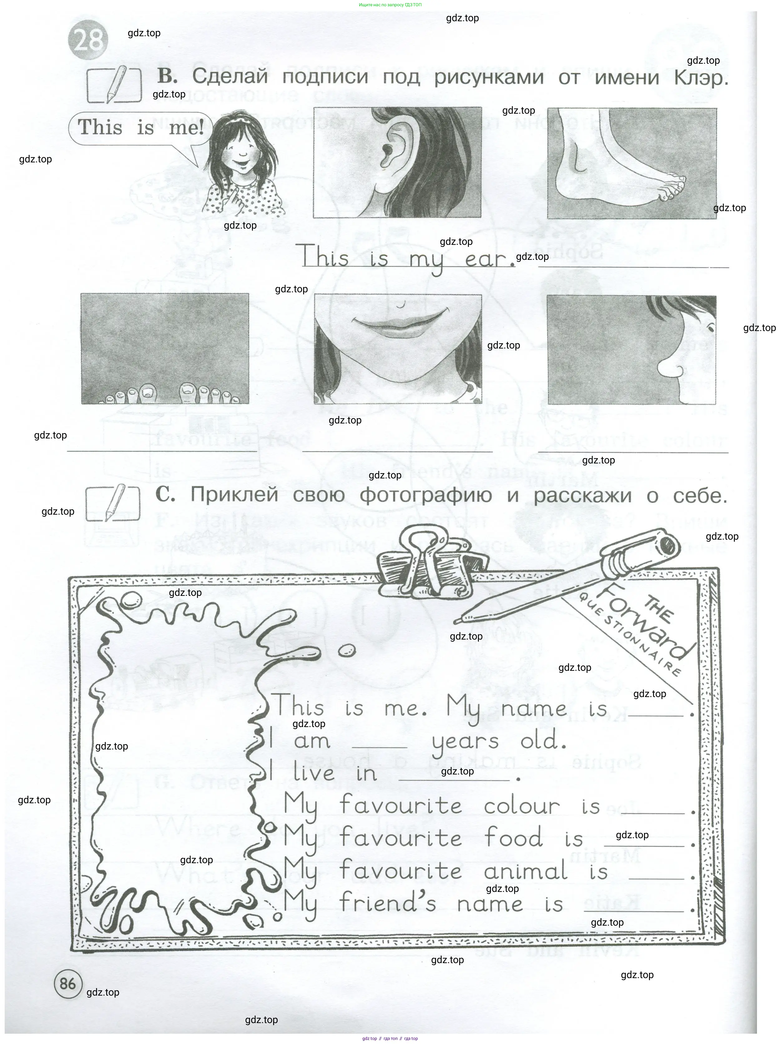 Английский язык (english), 2 класс рабочая тетрадь (activity book), авторы: Вербицкая Мария Валерьевна (Verbitskaya Maria), Оралова Ольга Викторовна (Oralova Olga), Эббс Брайен (Abbs Brian), Уорелл Энн (Worrall Anne), Уорд Энн (Ward Ann), издательство Просвещение, Москва, 2023, зелёного цвета, страница 86
