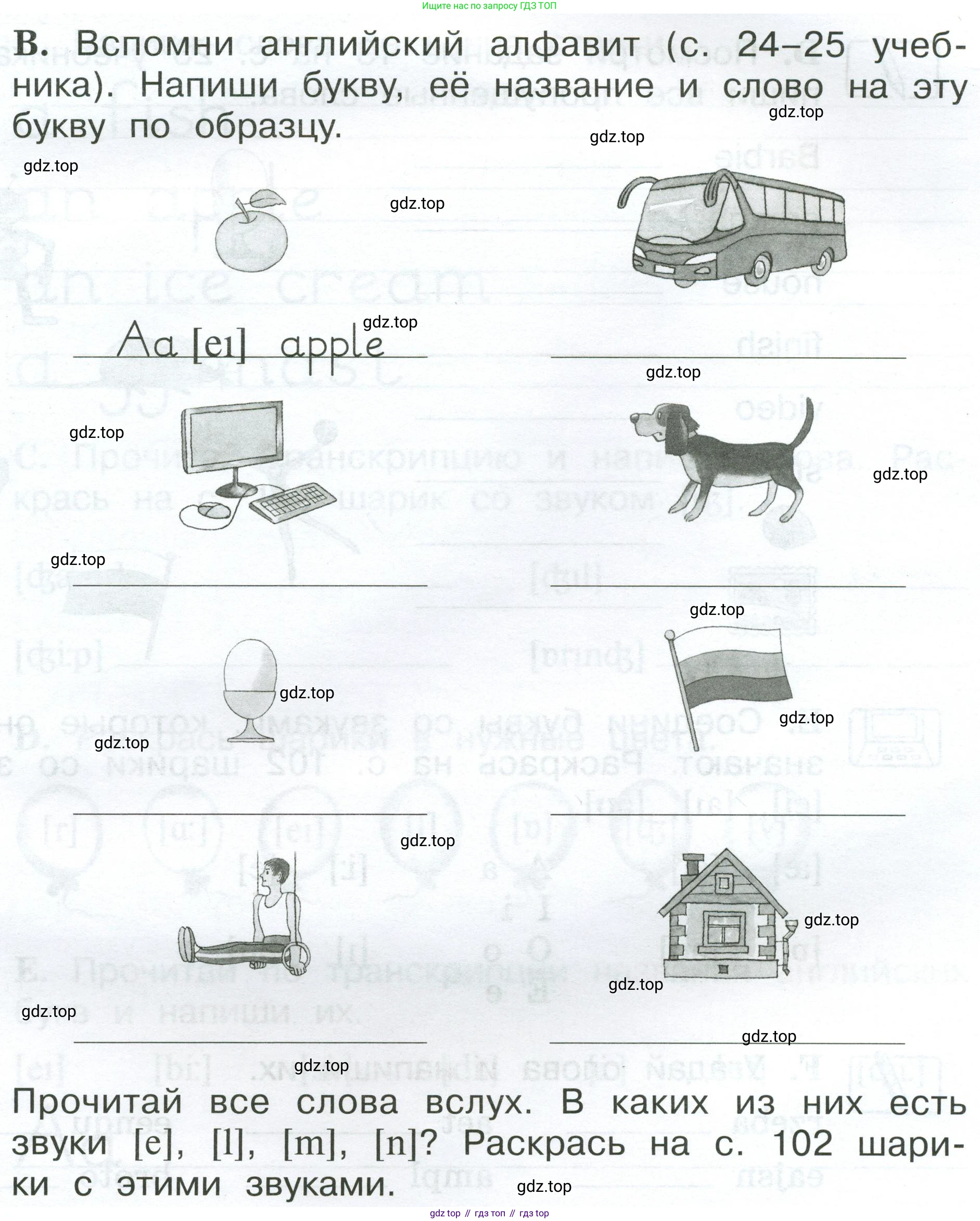Английский язык (english), 2 класс рабочая тетрадь (activity book), авторы: Вербицкая Мария Валерьевна (Verbitskaya Maria), Оралова Ольга Викторовна (Oralova Olga), Эббс Брайен (Abbs Brian), Уорелл Энн (Worrall Anne), Уорд Энн (Ward Ann), издательство Просвещение, Москва, 2023, зелёного цвета, страница 13, номер B, Условие