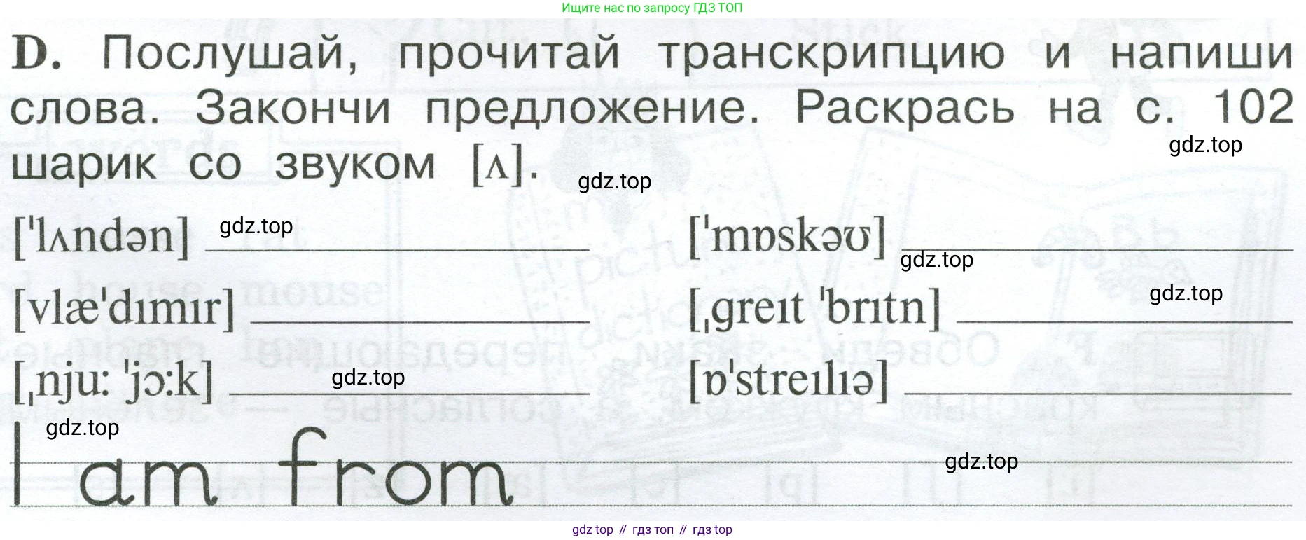 Английский язык (english), 2 класс рабочая тетрадь (activity book), авторы: Вербицкая Мария Валерьевна (Verbitskaya Maria), Оралова Ольга Викторовна (Oralova Olga), Эббс Брайен (Abbs Brian), Уорелл Энн (Worrall Anne), Уорд Энн (Ward Ann), издательство Просвещение, Москва, 2023, зелёного цвета, страница 17, номер D, Условие